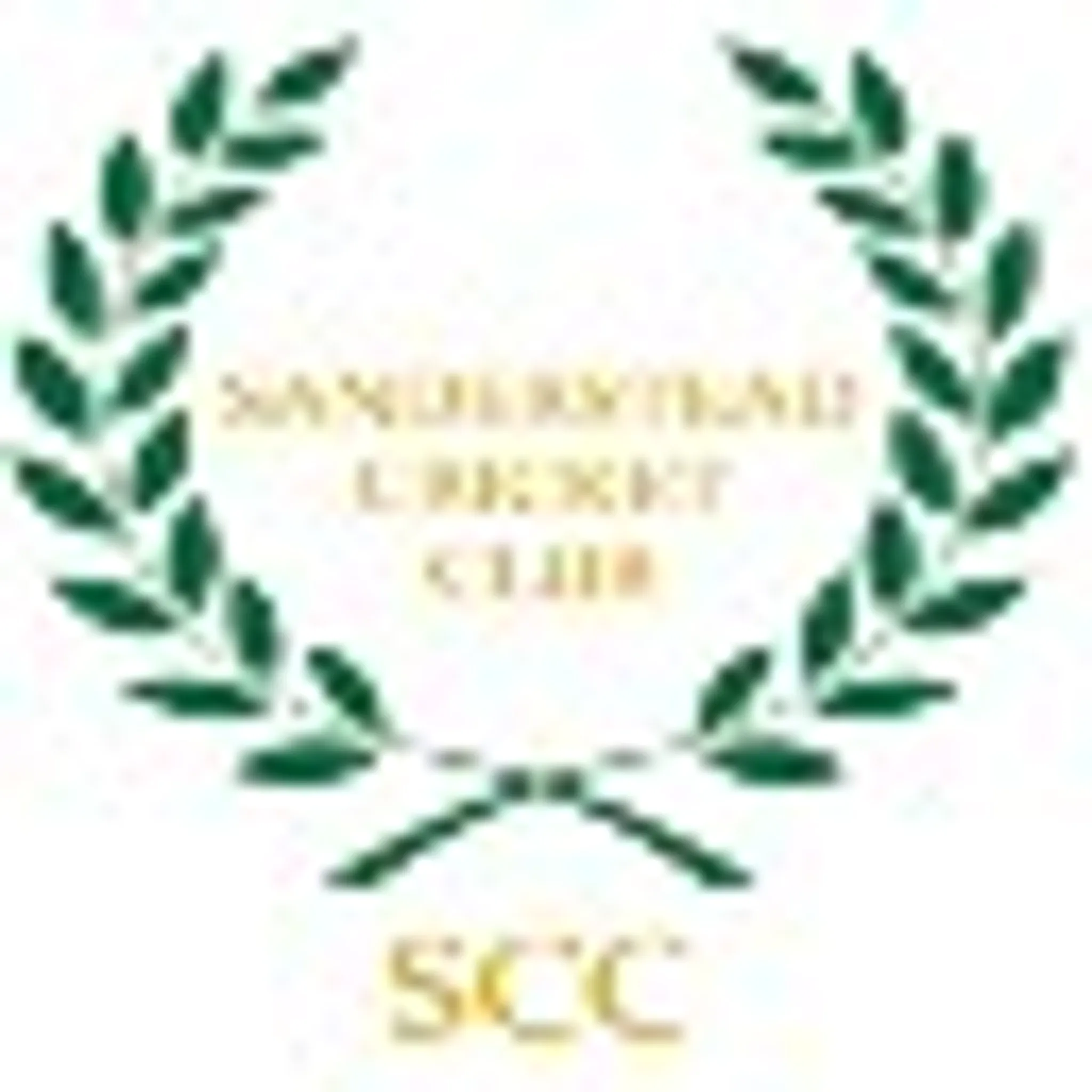 Chertsey Cricket Club