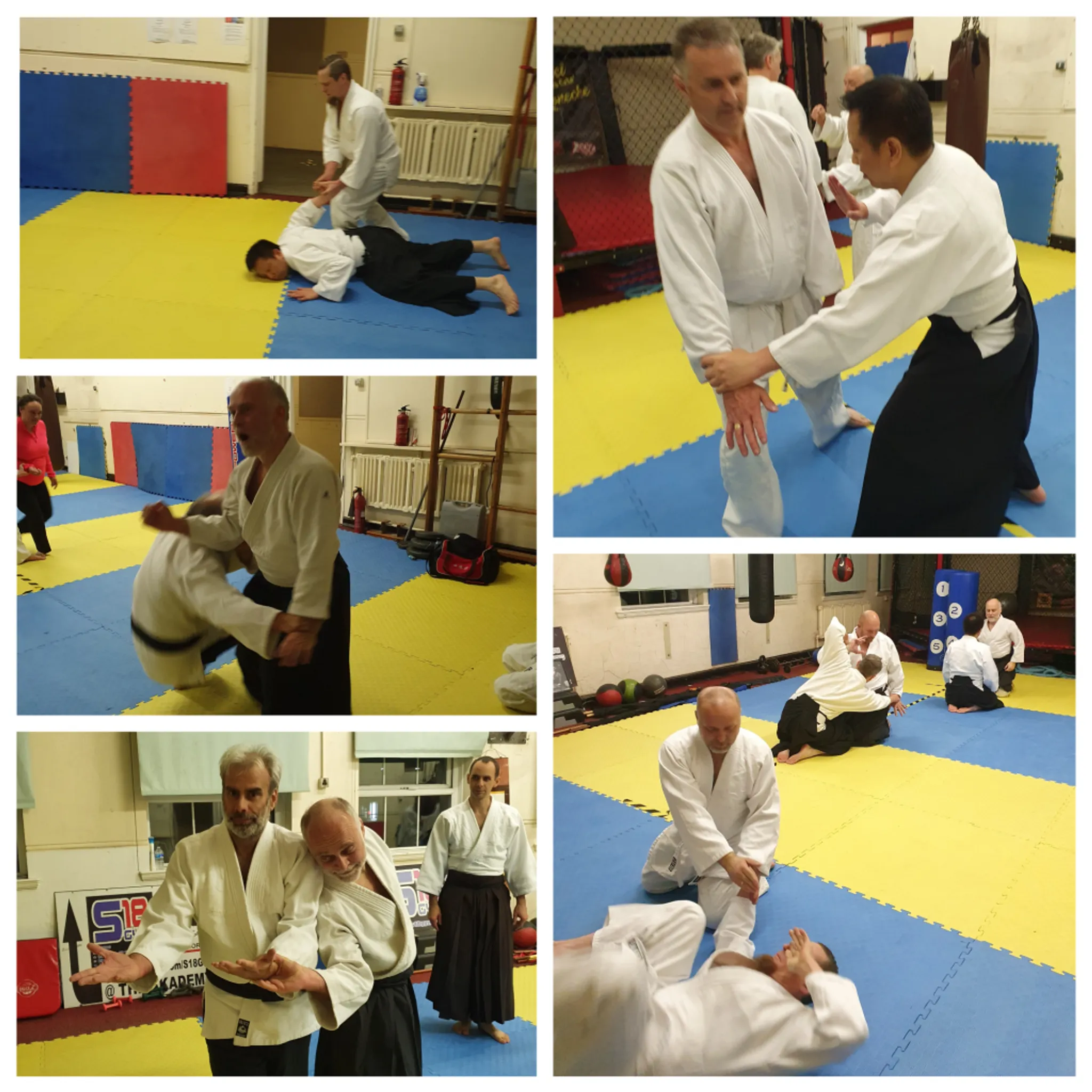 Hallamshire Aikido Club Practice