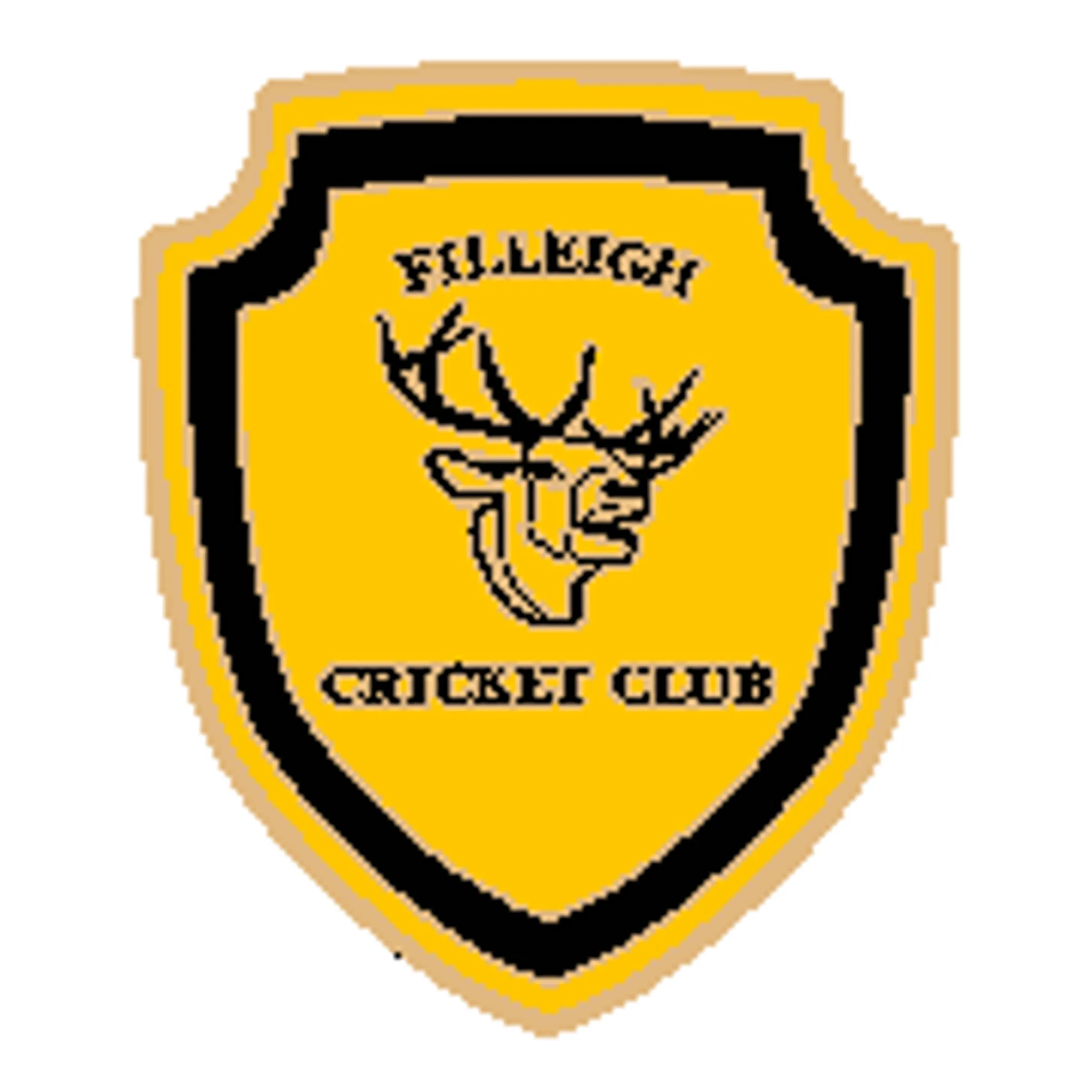 Filleigh Cricket Club