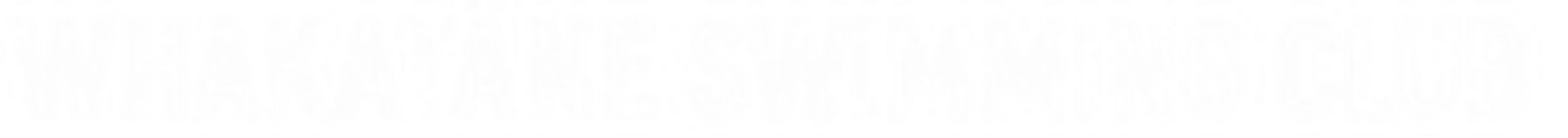 Whakatne Swimming Club