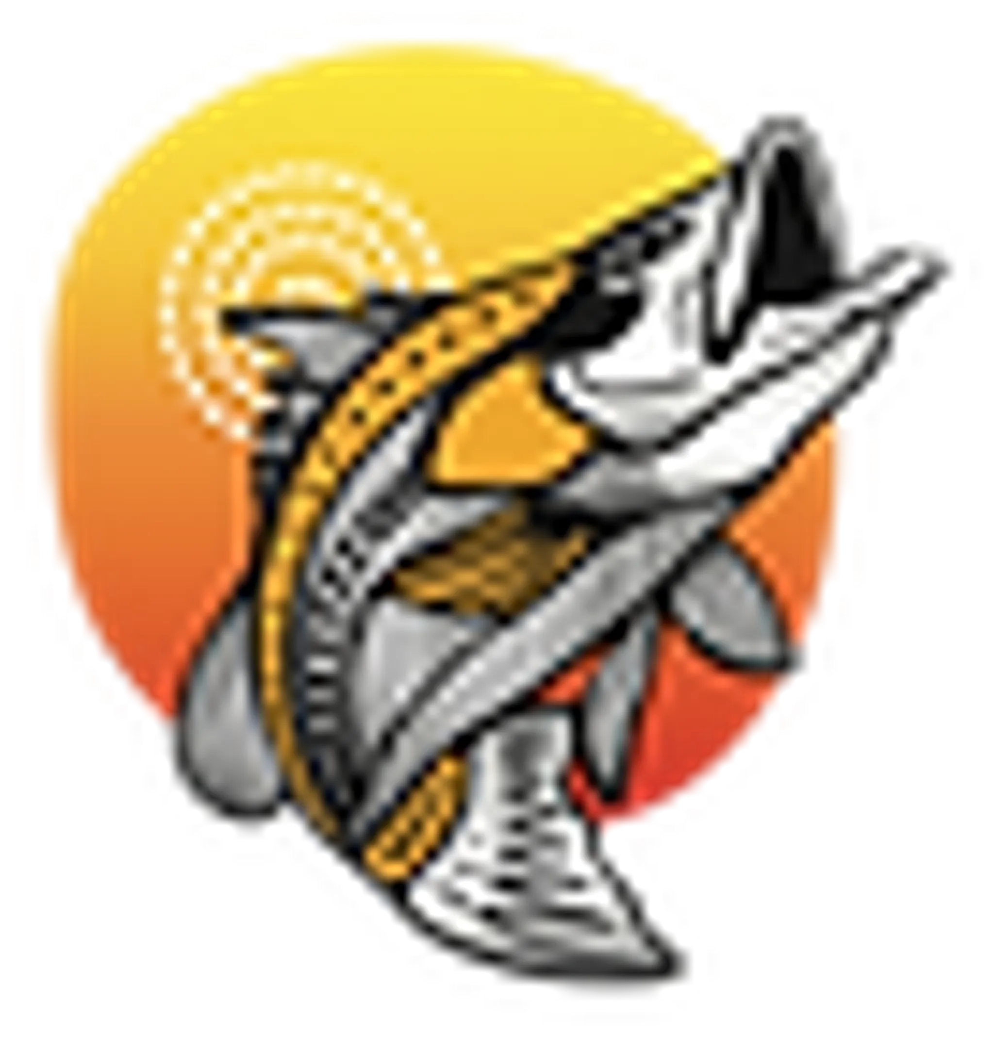 Barramundi Adventures Darwin