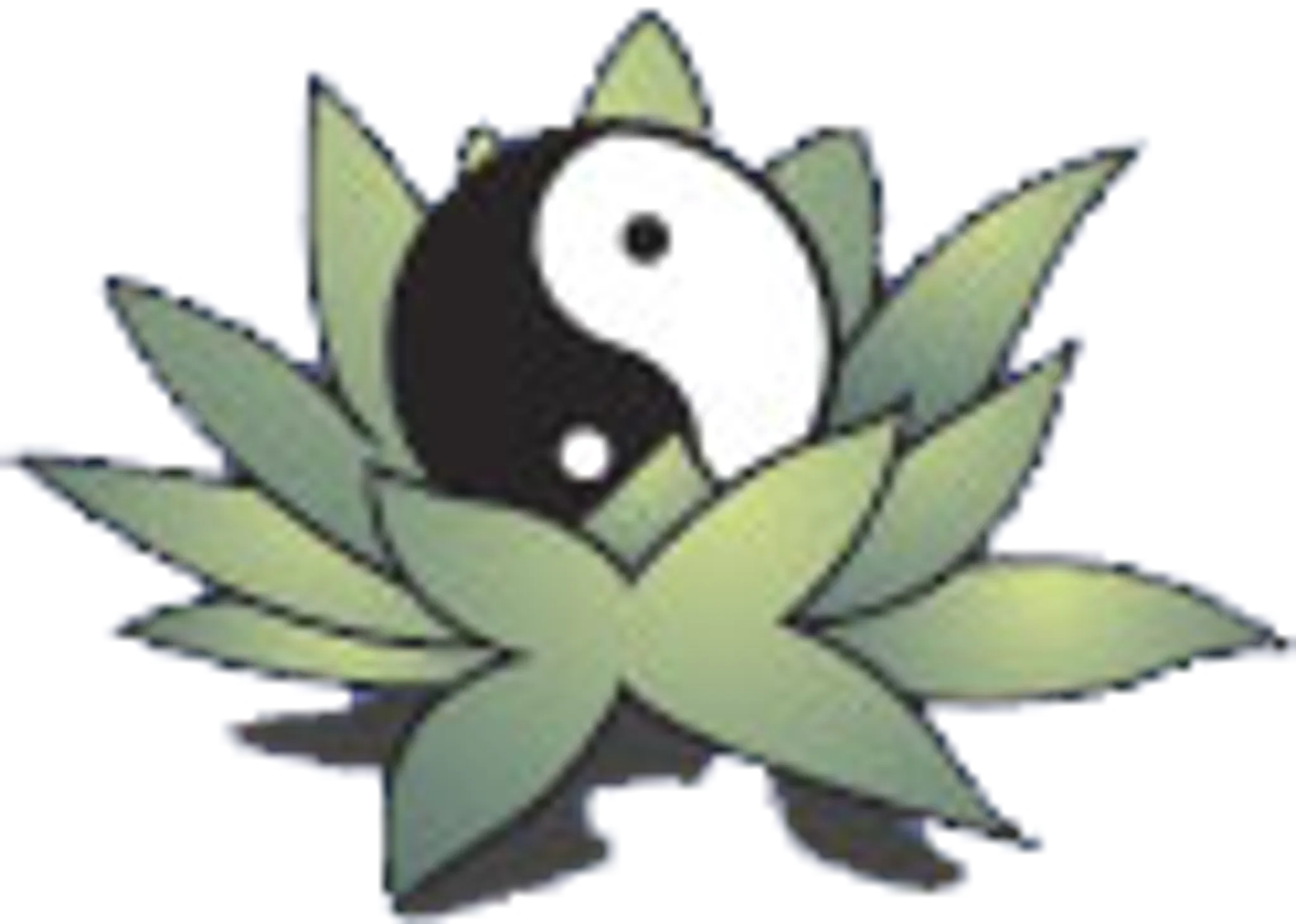 Tamborine Tai Chi & Kinesiology