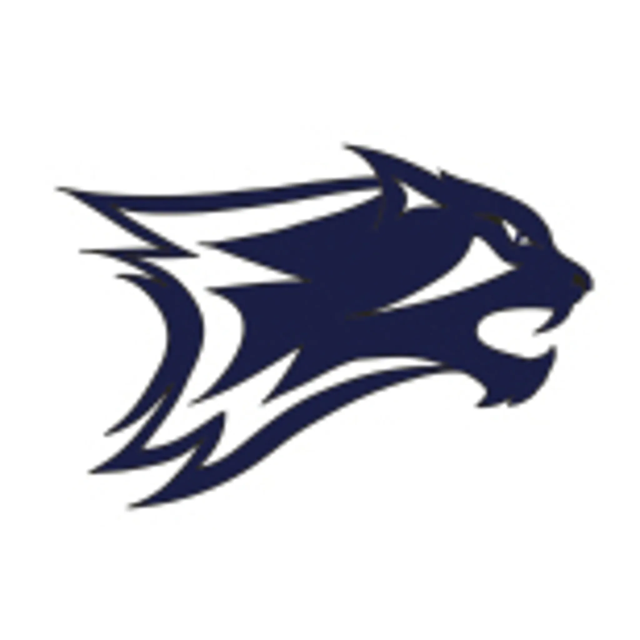 Woodside & District Football & Netball Club