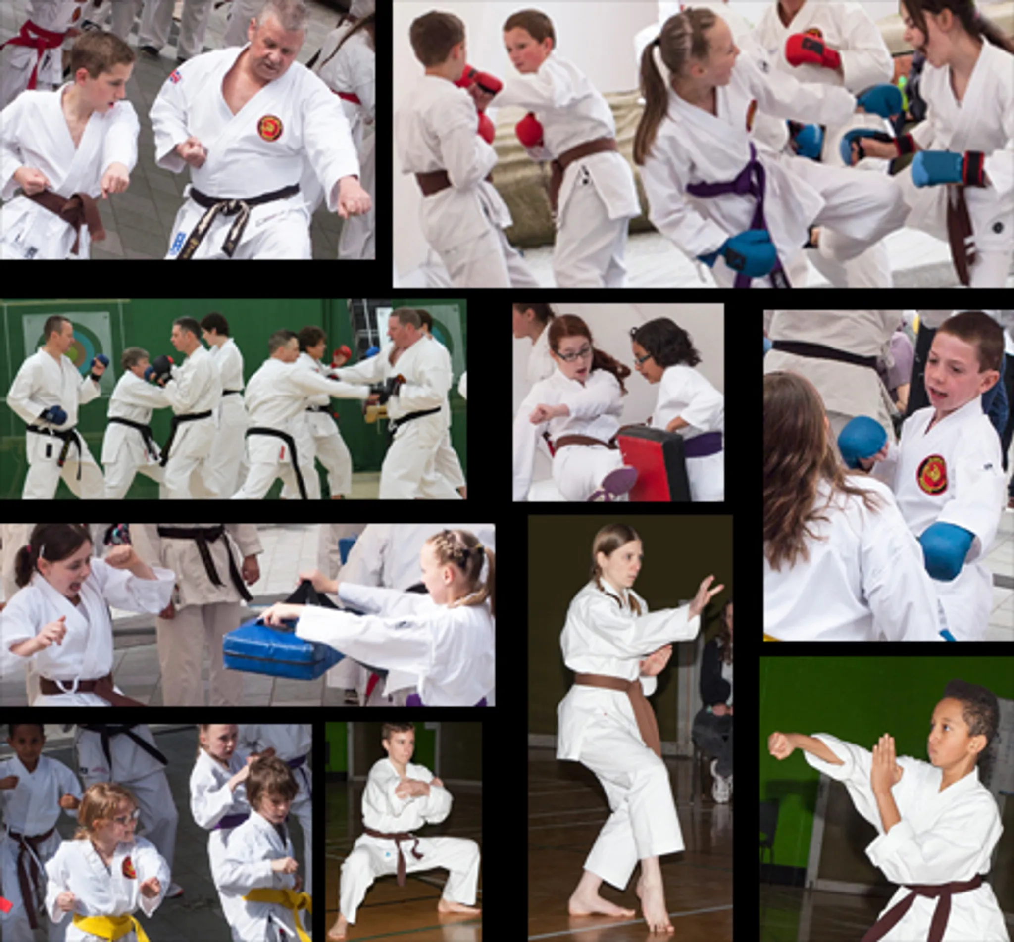 Makenki Karate Clubs
