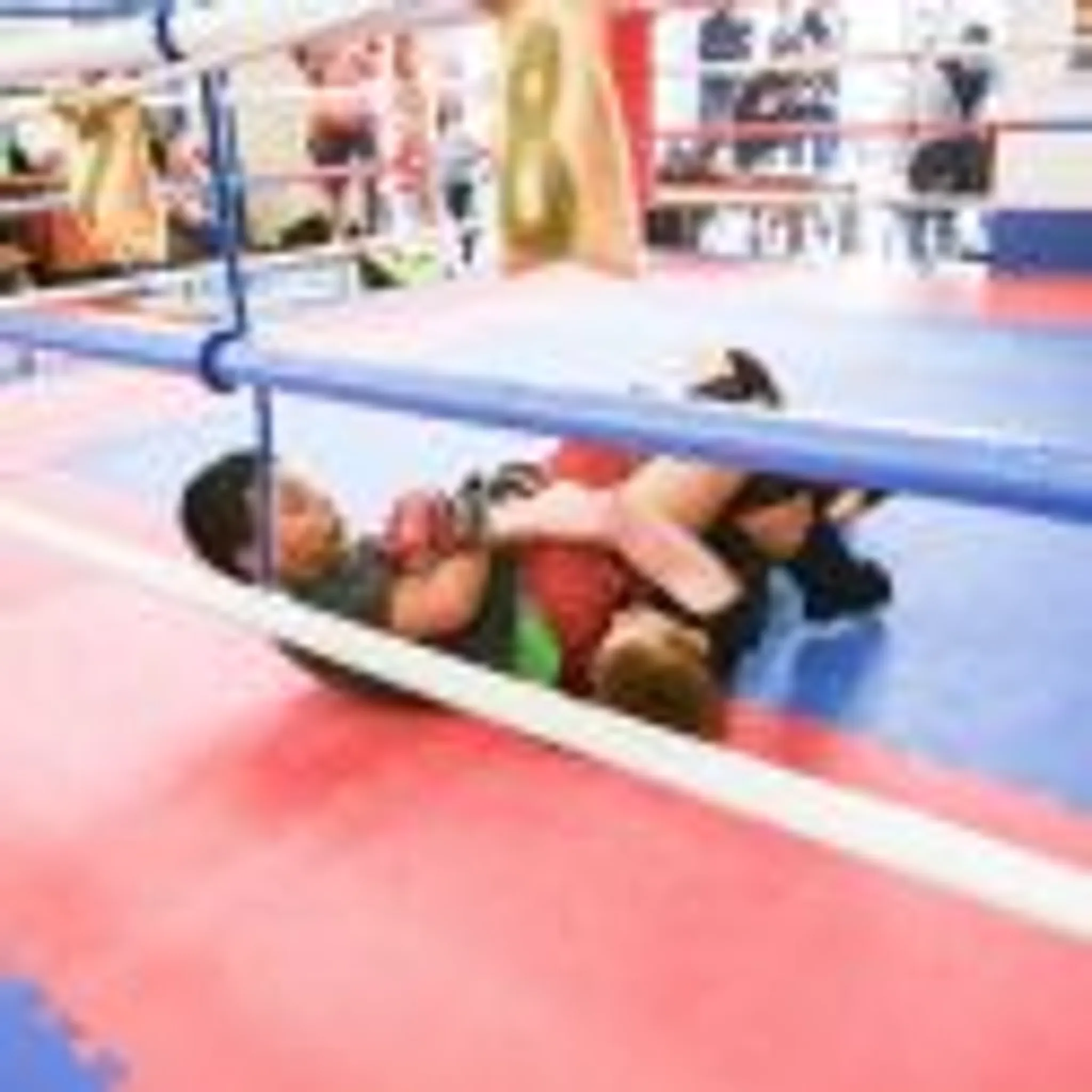 Panthers Martial Arts Academy