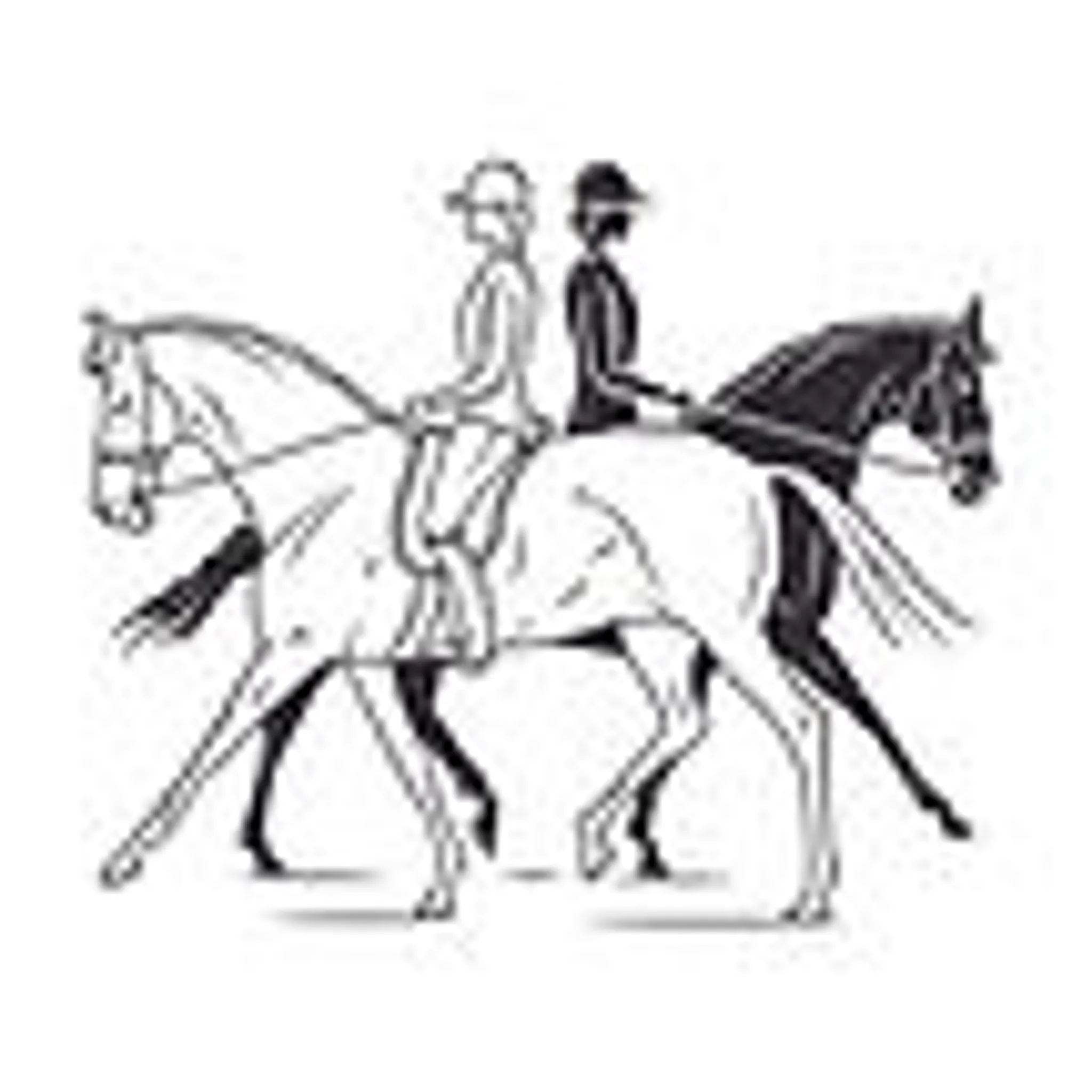 Amelia Wilbourn Balanced Awareness (Equestrian)