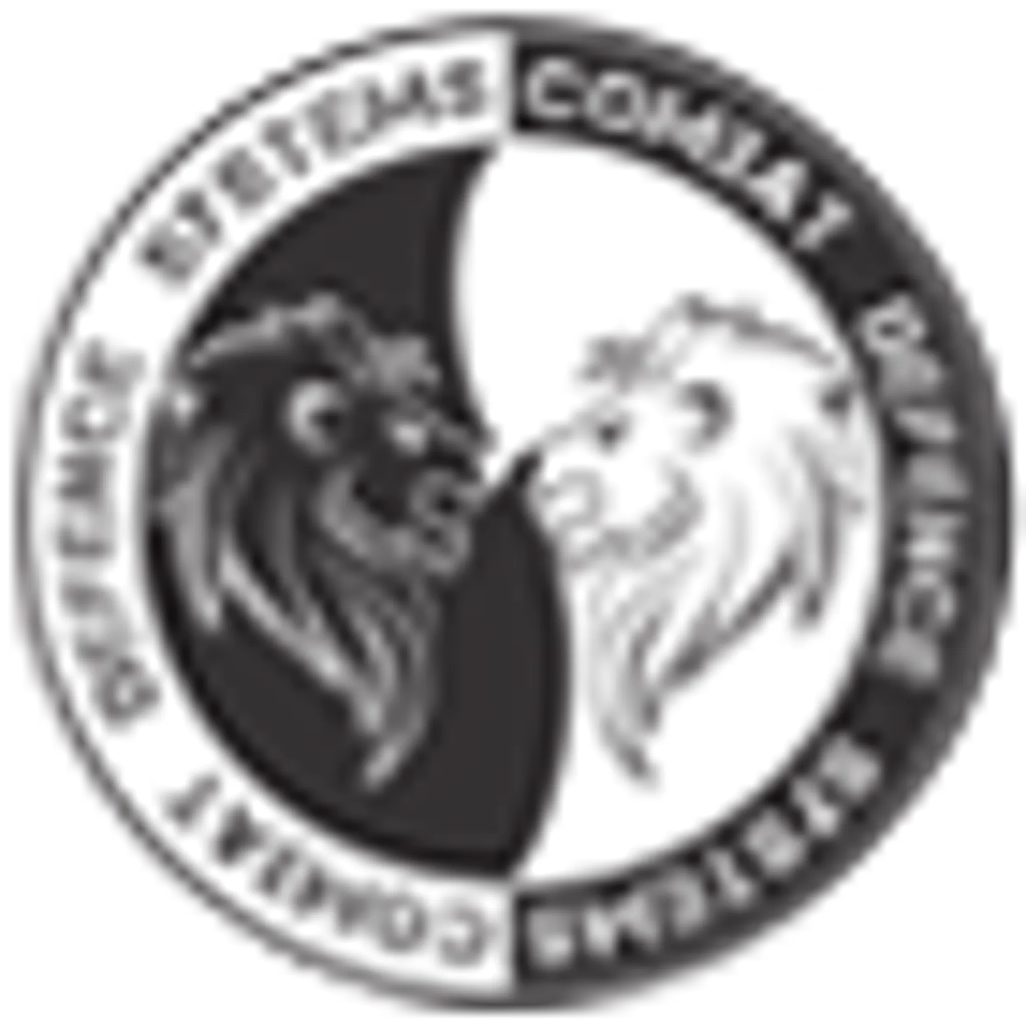 Combat Defence Systems