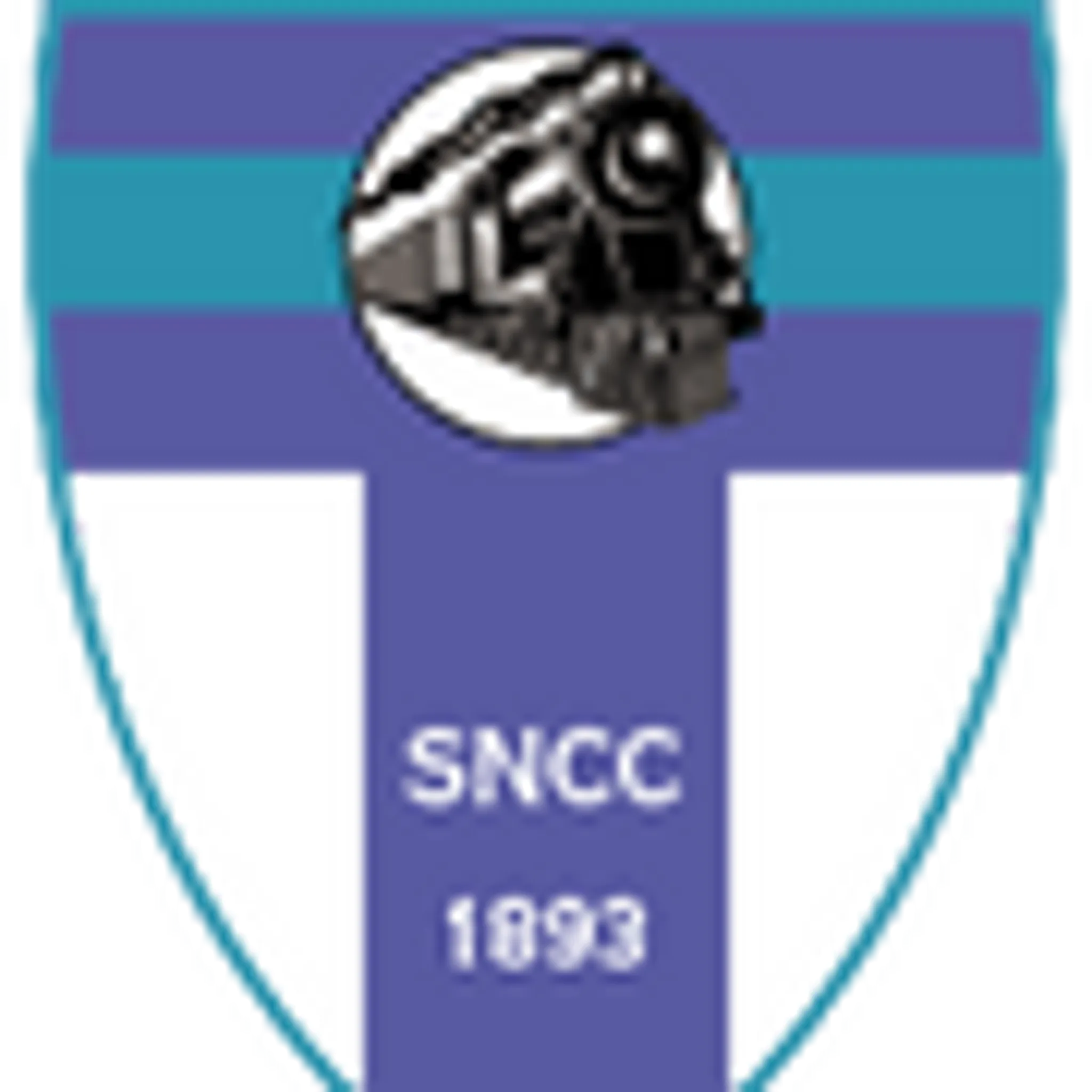 South Nutfield Cricket Club