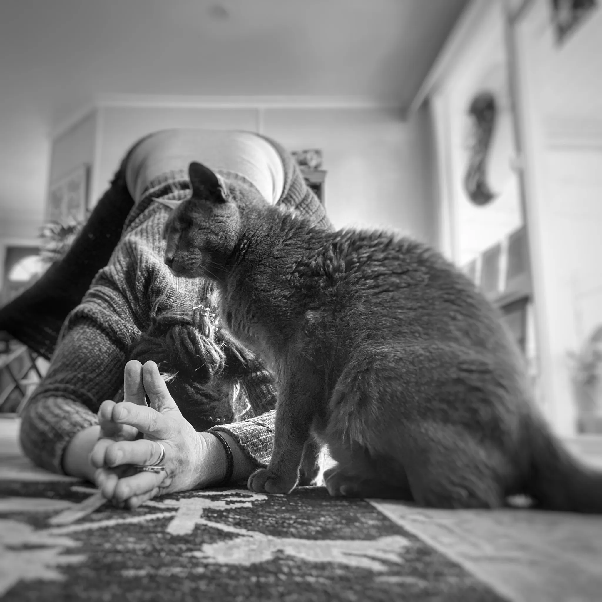 Seasonal Yoga with Yolande