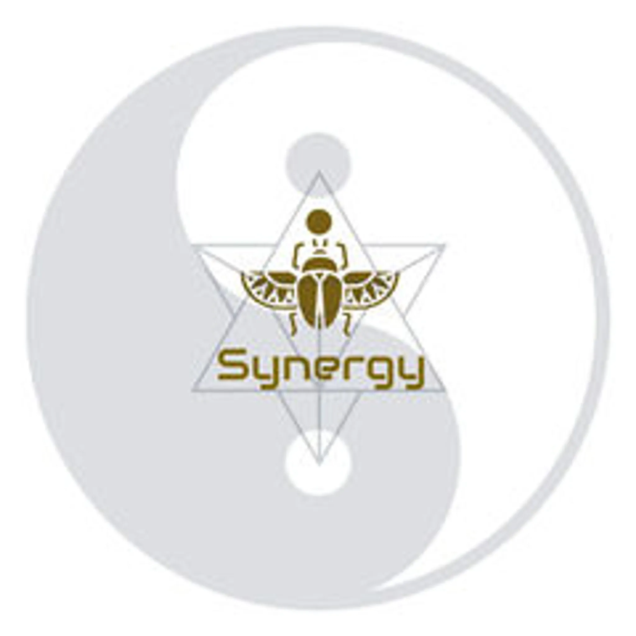 Synergy Wing Chun