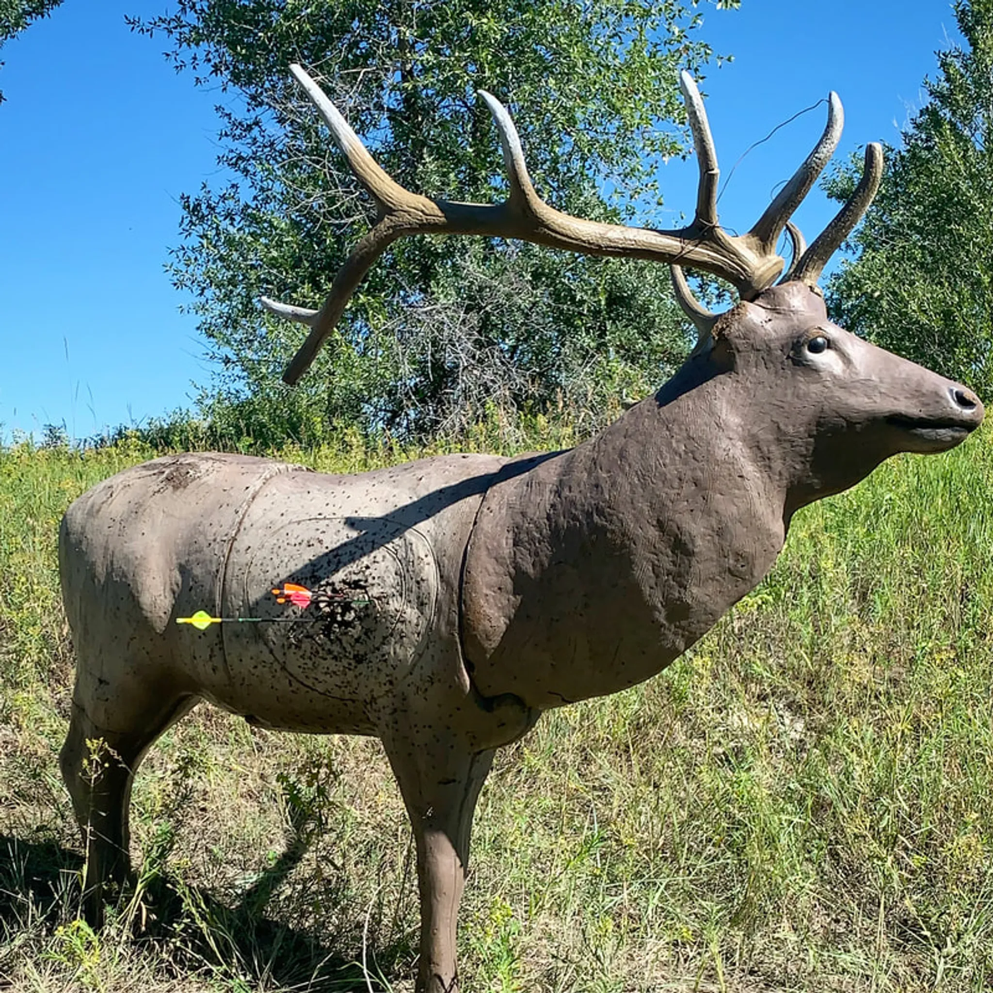 Southern Alberta Bowhunters Association