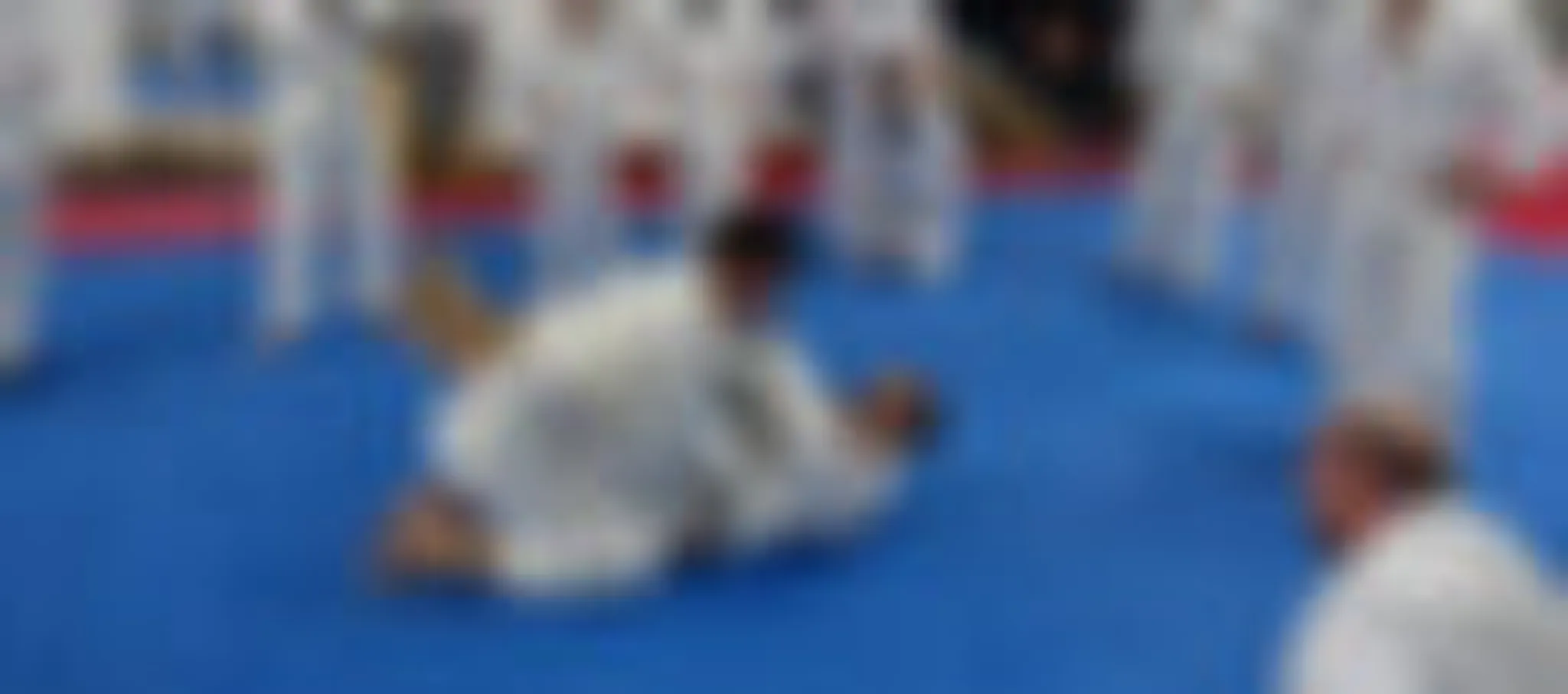 Academy Martial Arts De Qubec