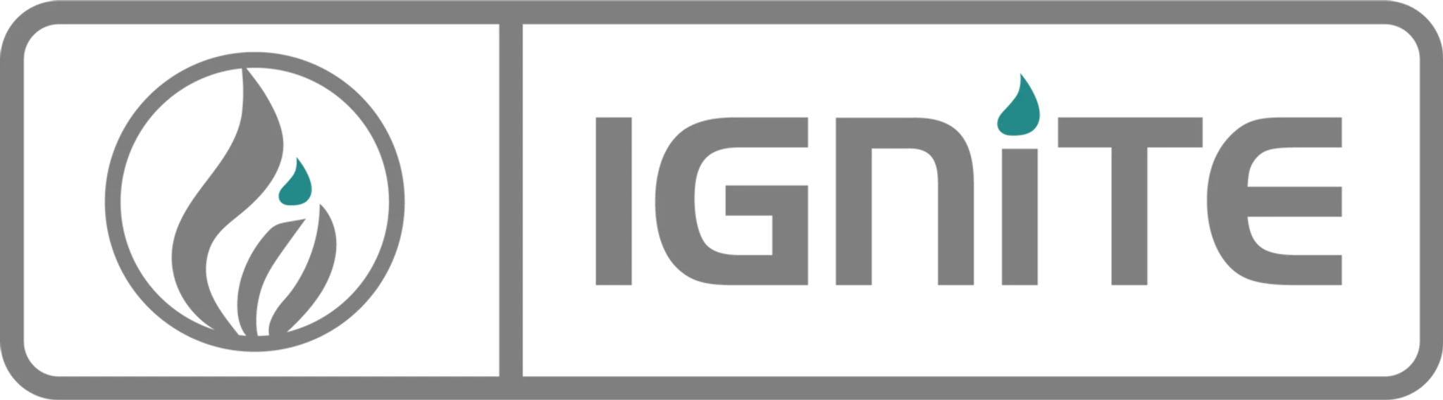 The Ignite Company