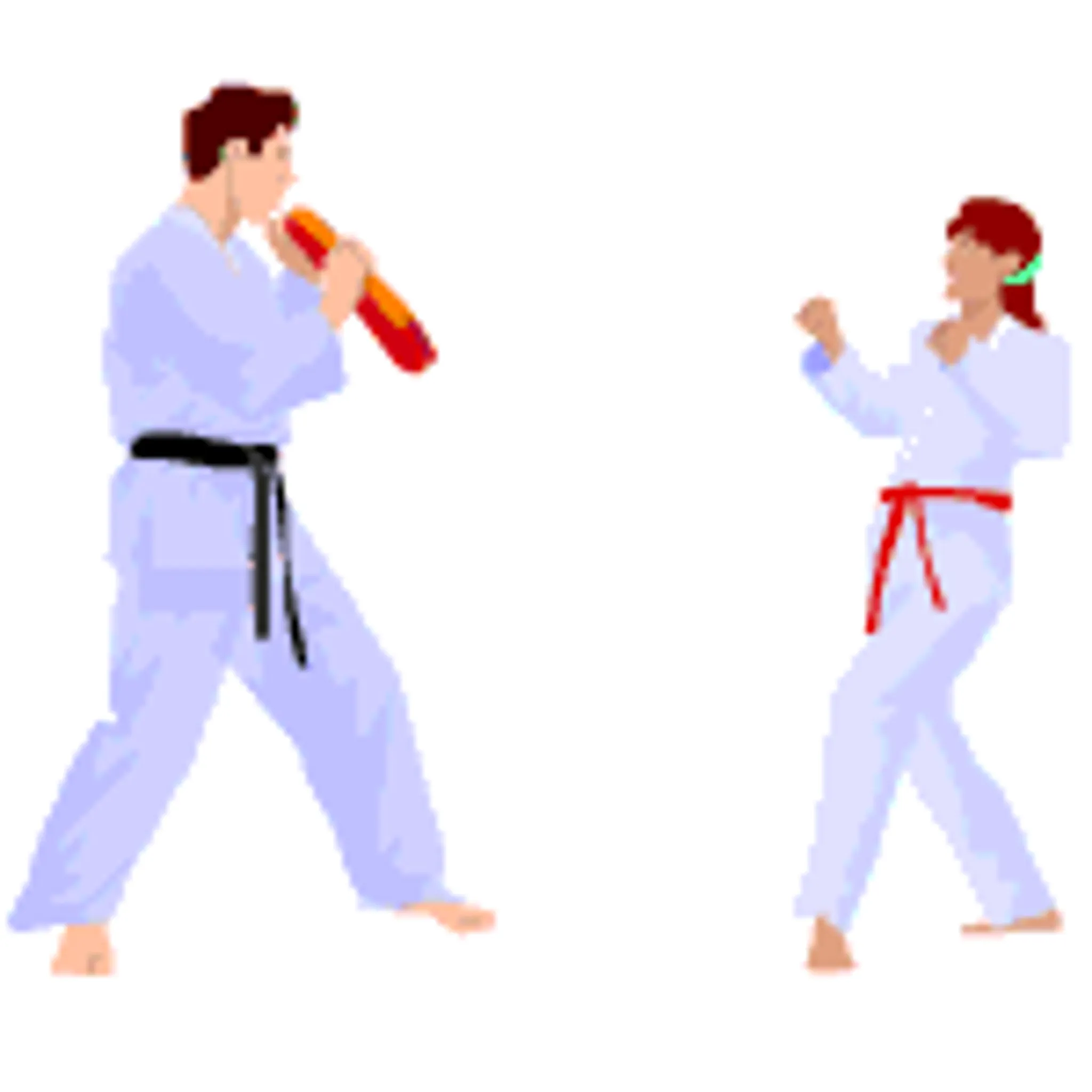 Kutch Martial art Academy (Branch no 6)