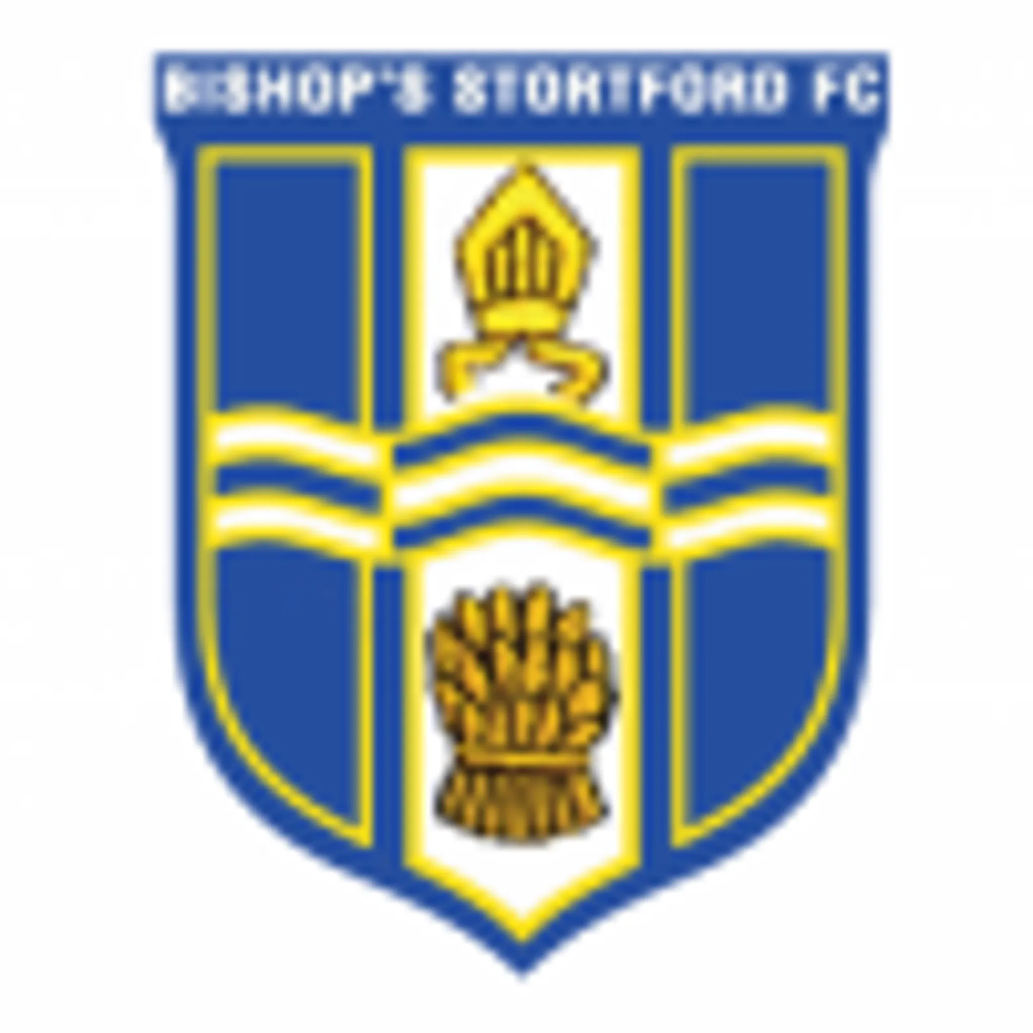 Bishops Stortford Football Club