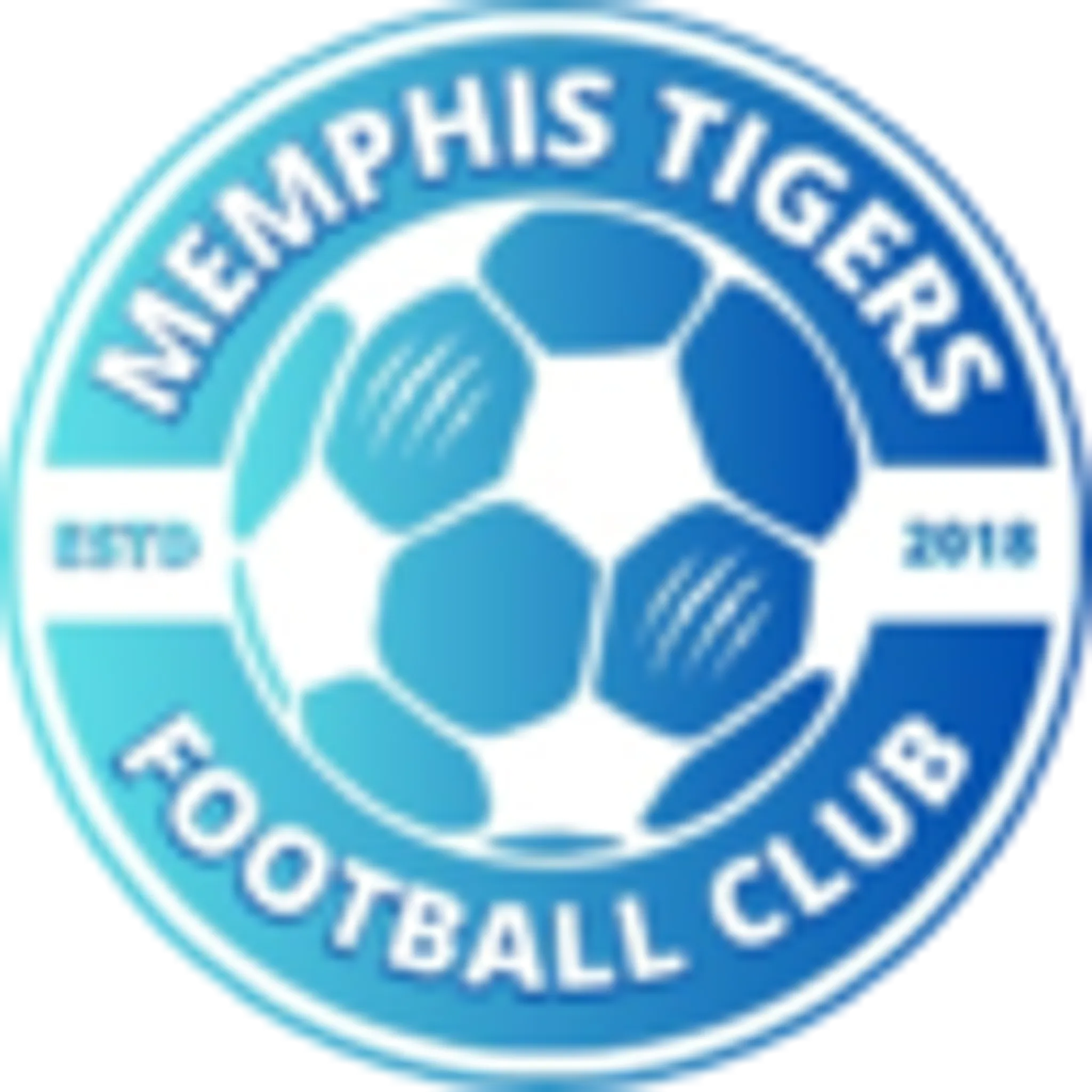 Memphis Tigers Football Academy