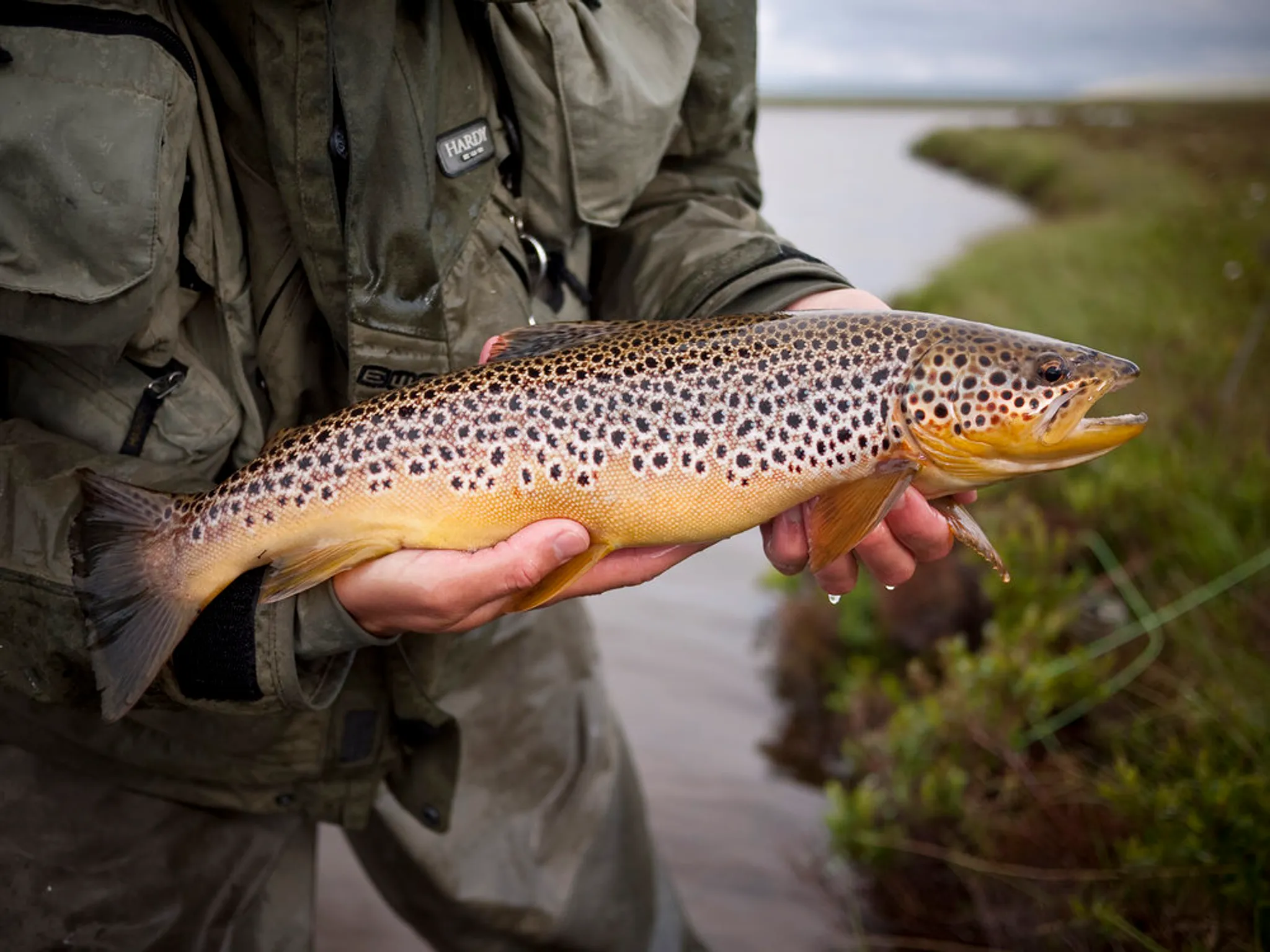 Expert Fly Fishing Instruction