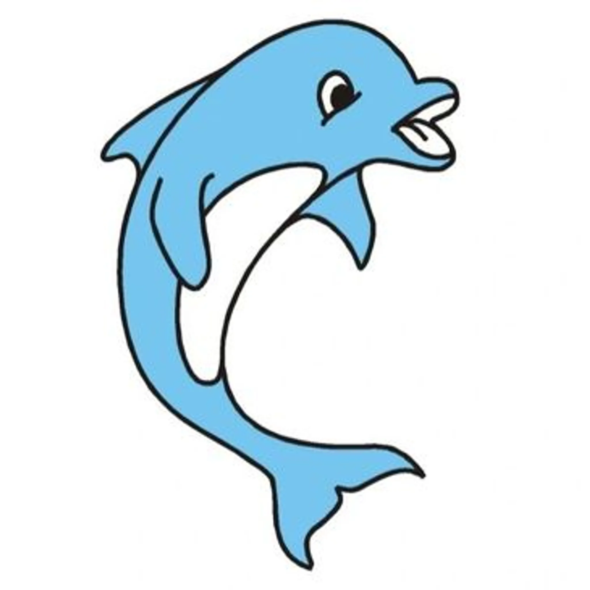 Dolphin Swim School Caerphilly Ltd