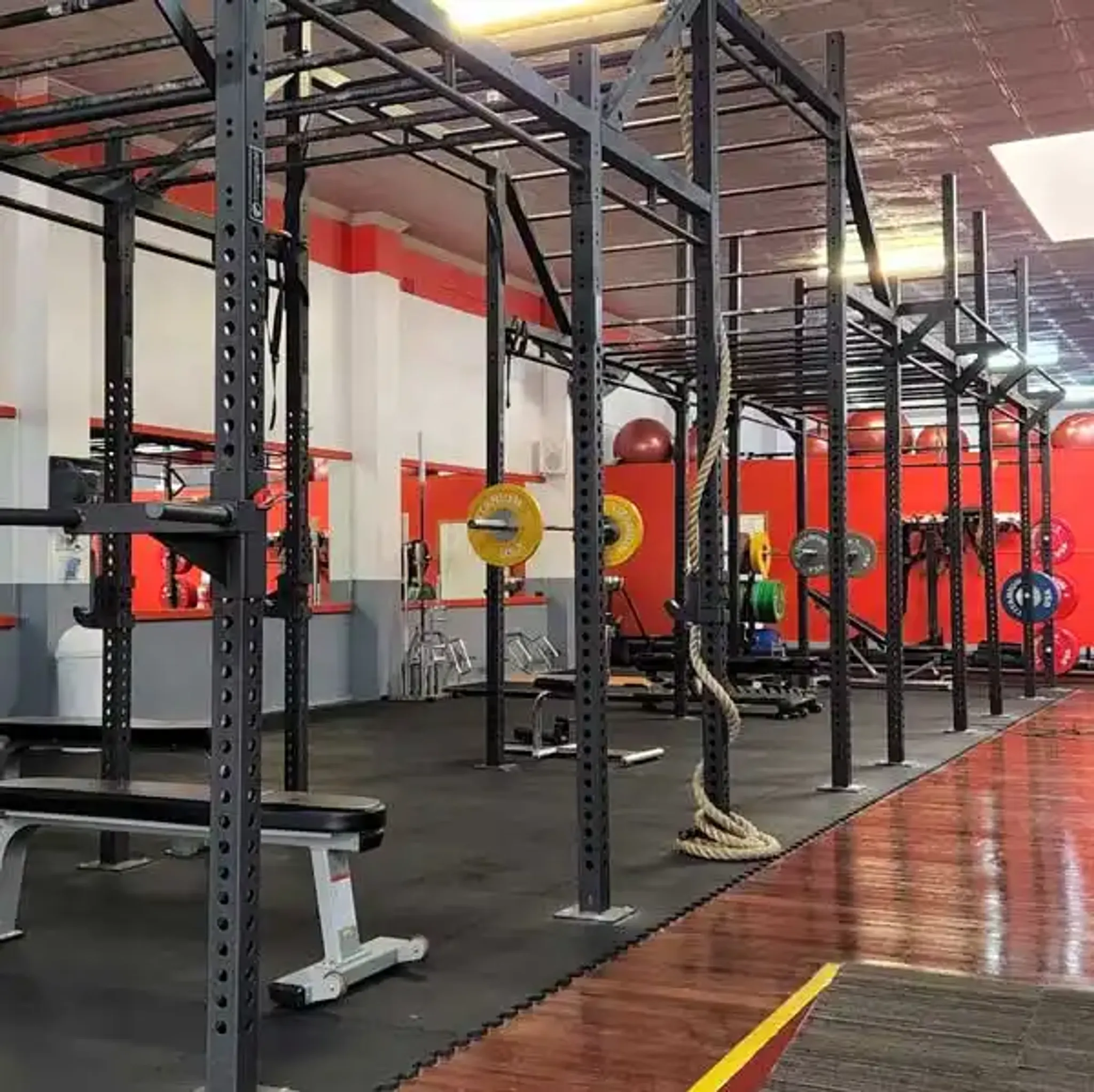 King's Gym & Fitness