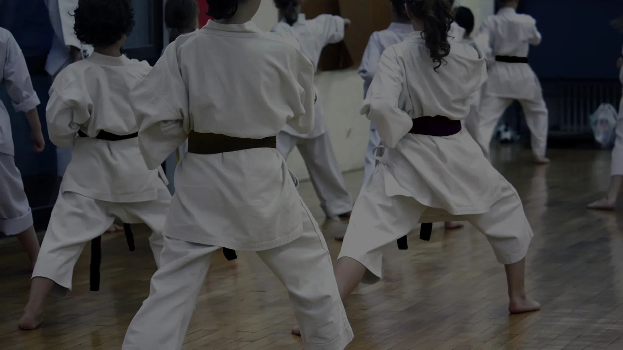 Seido Karate