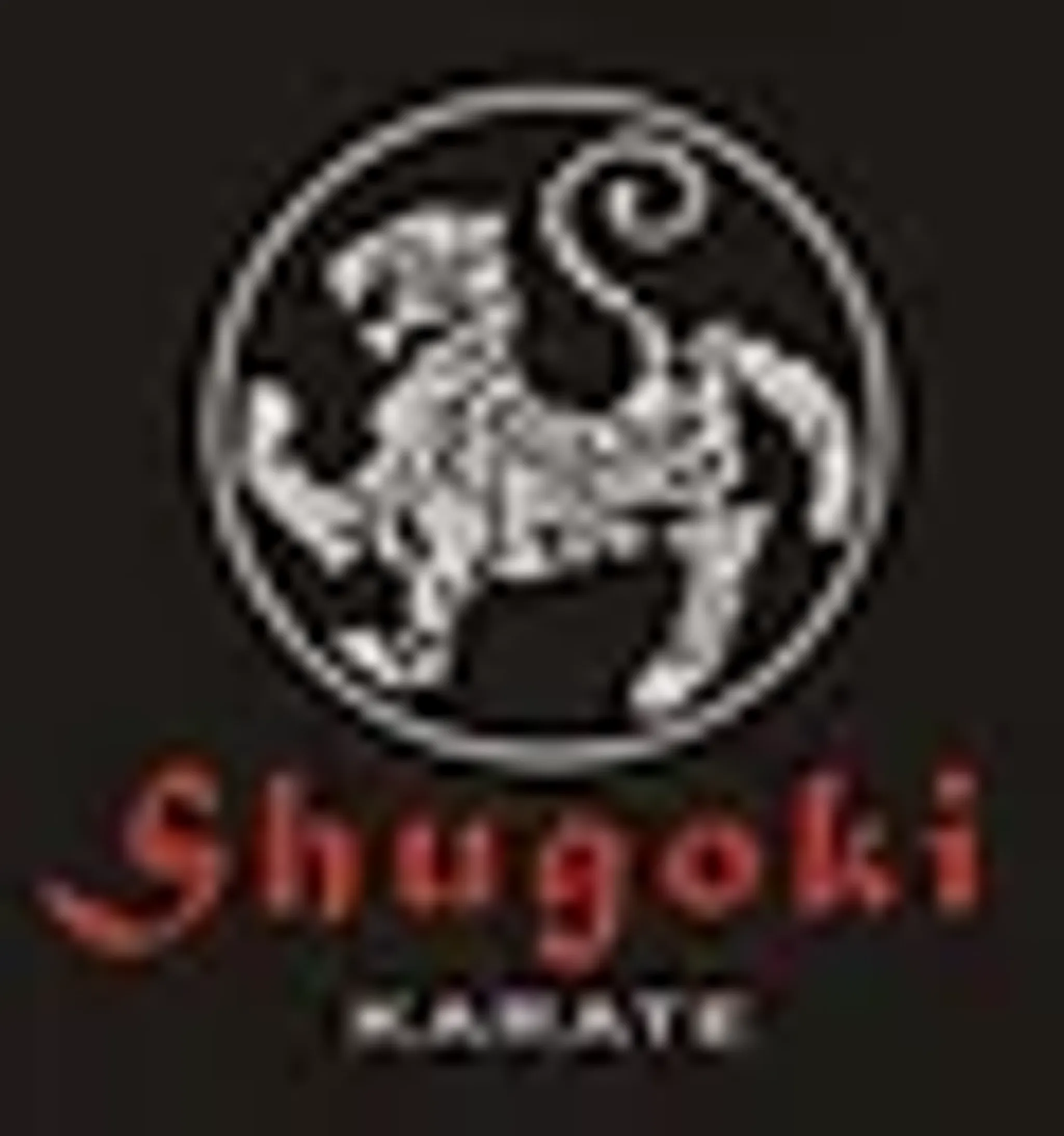 Shugoki Karate Academy