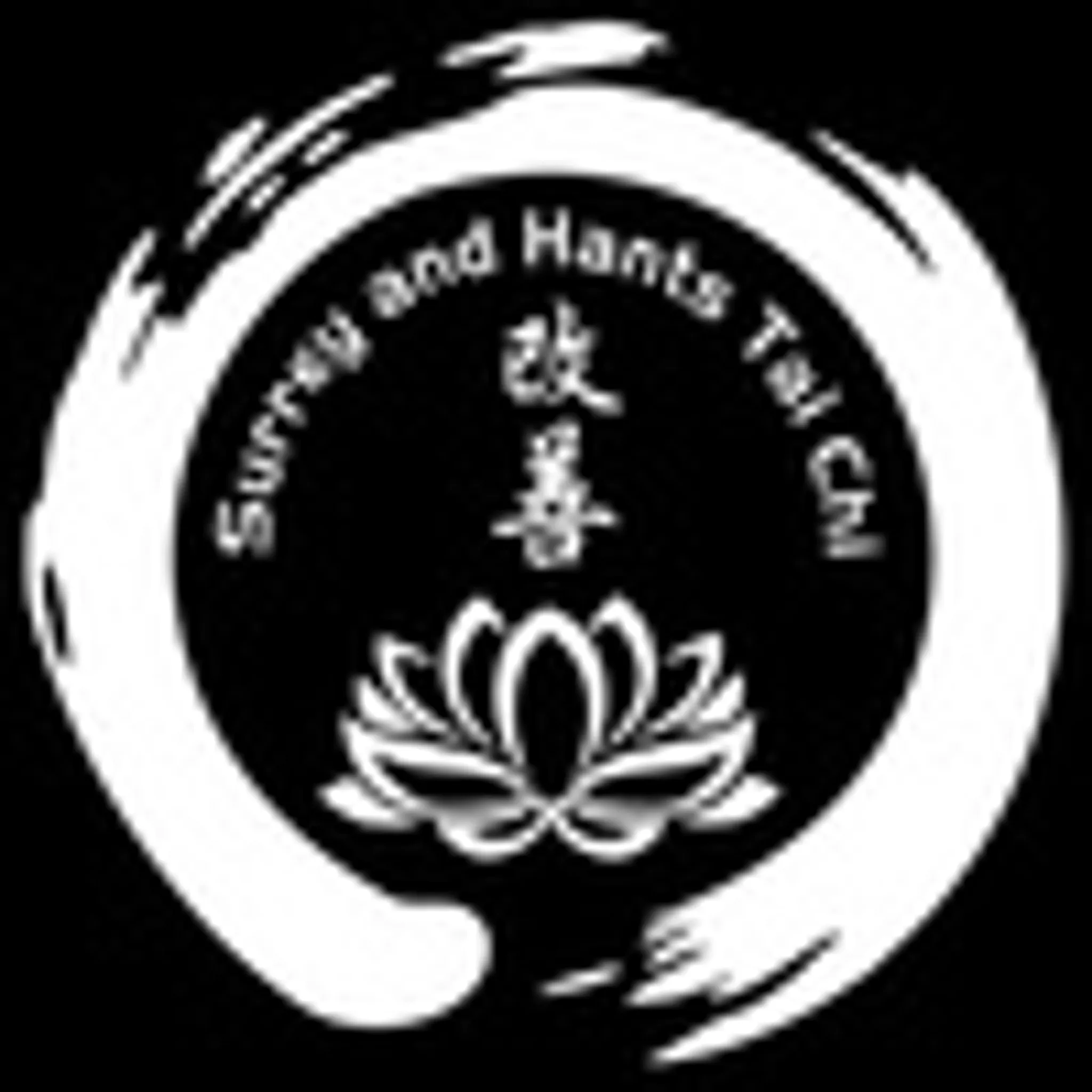Surrey and Hants Tai Chi Qigong Mytchett
