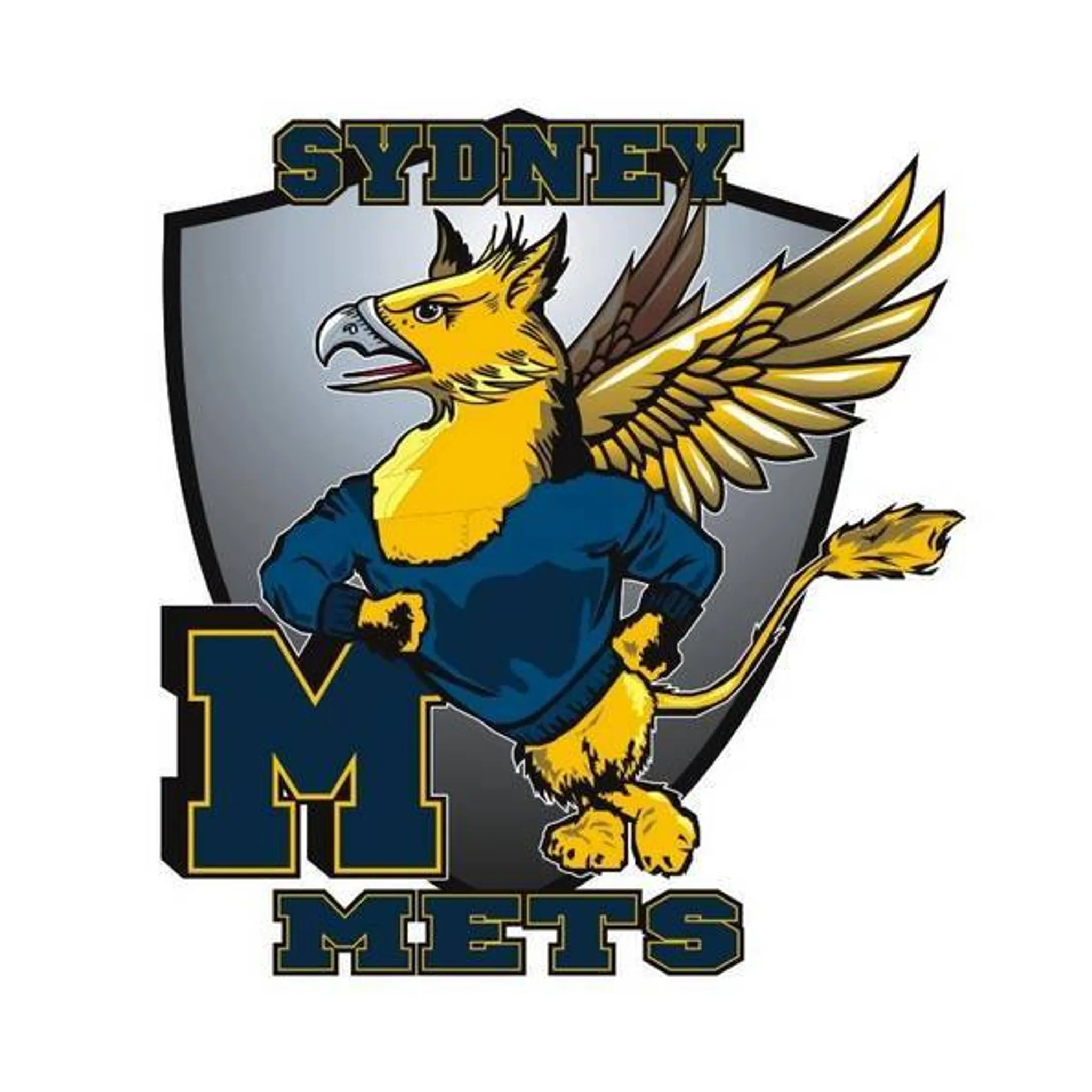 Sydney Mets Region Touch