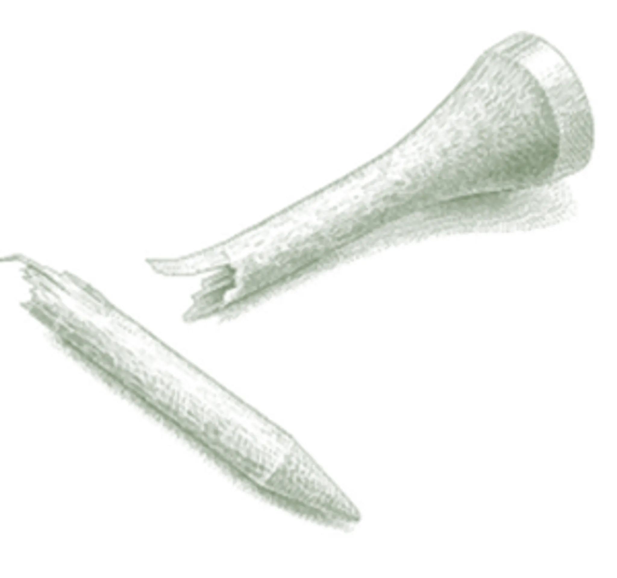 Little Para Golf Course