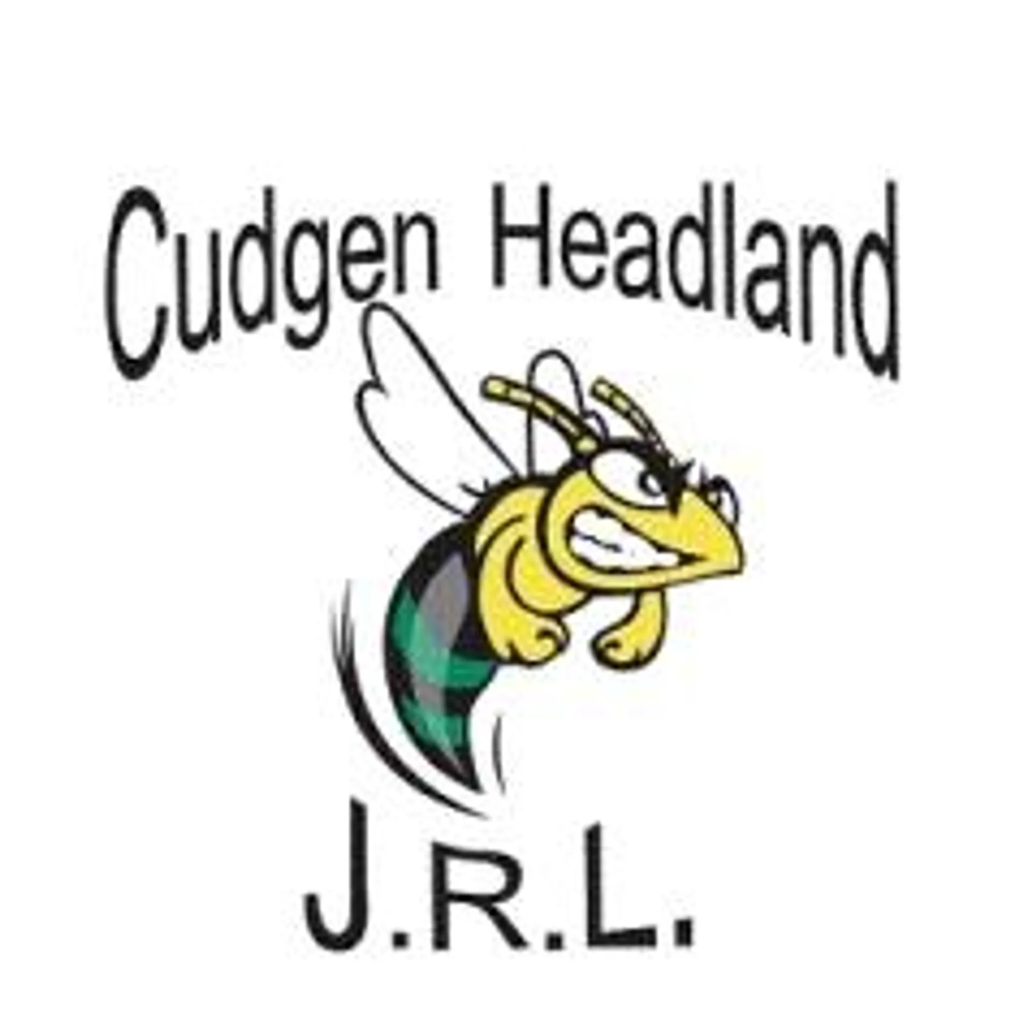 Cudgen Headland Junior Rugby League Club Inc. (Group 18 Junior Rugby League)