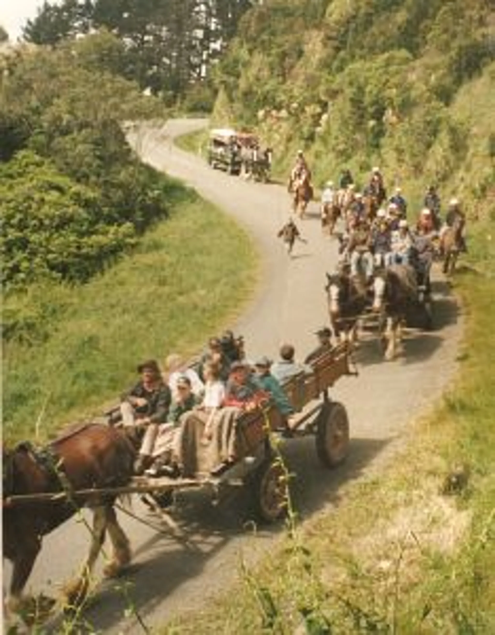 Timeless Horse Treks