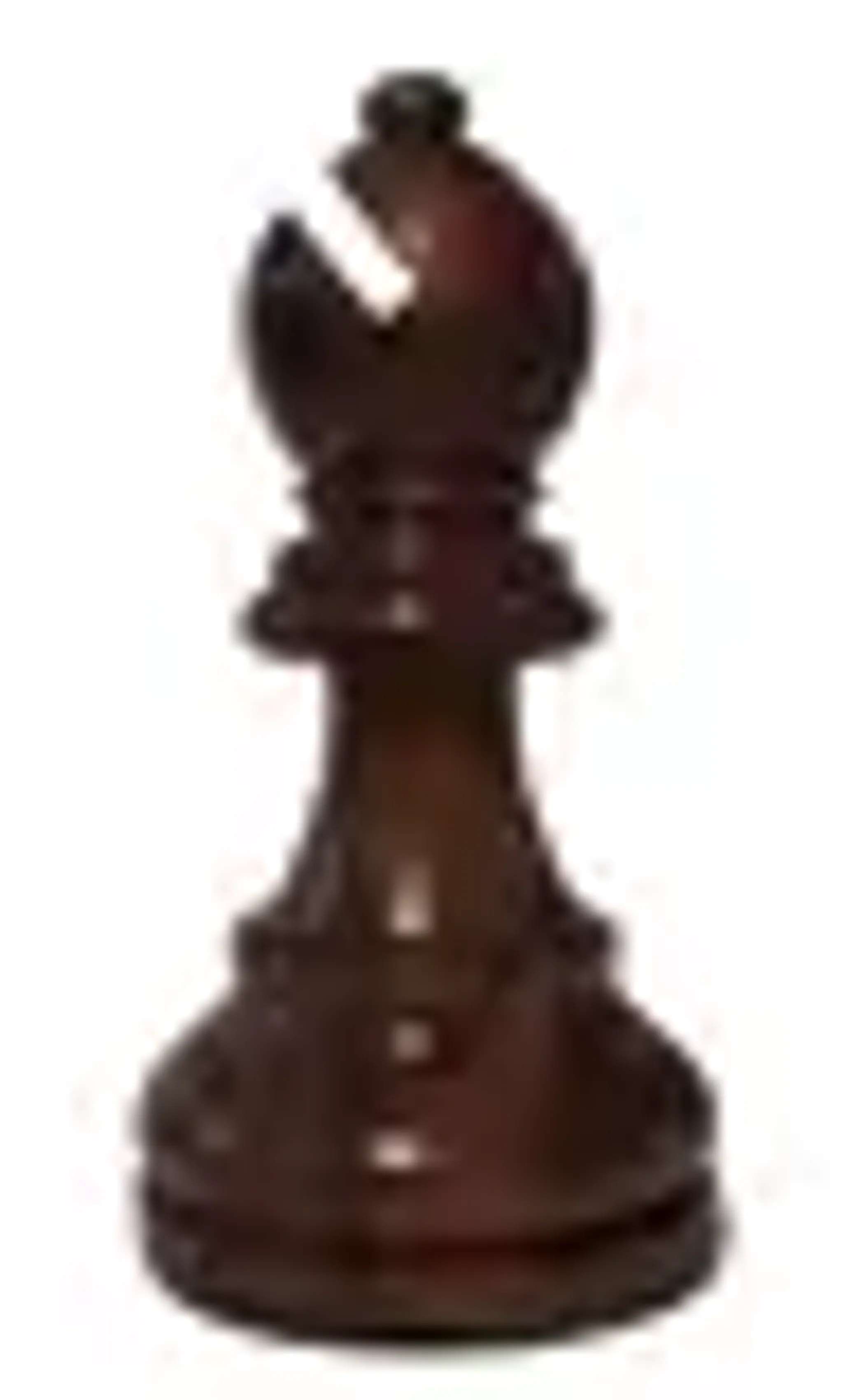 Learn Chess with Sam - Chess Master