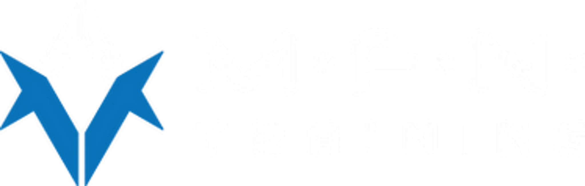 M*F*N* Training