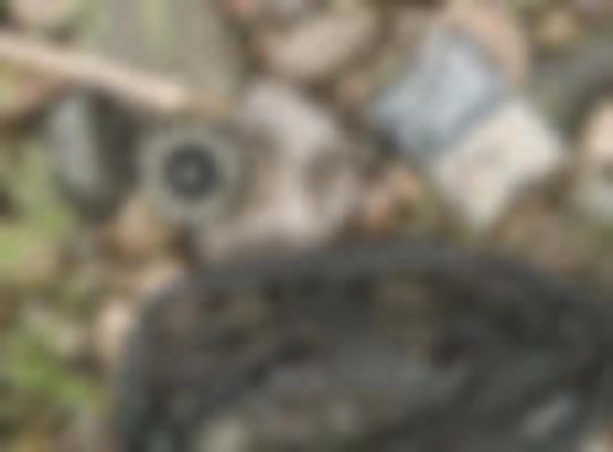 Go Fishing Edinburgh