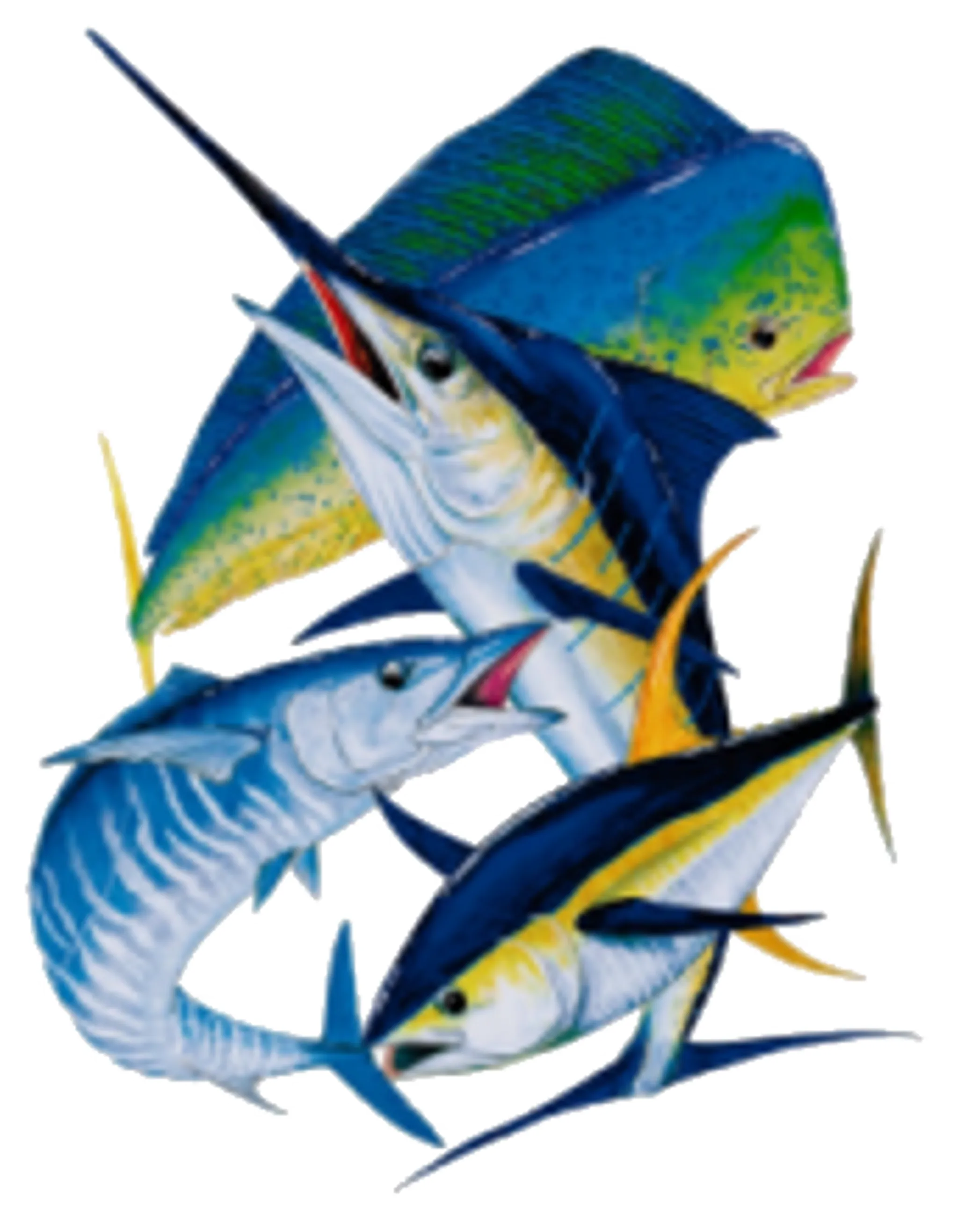 Newport Game Fish Club