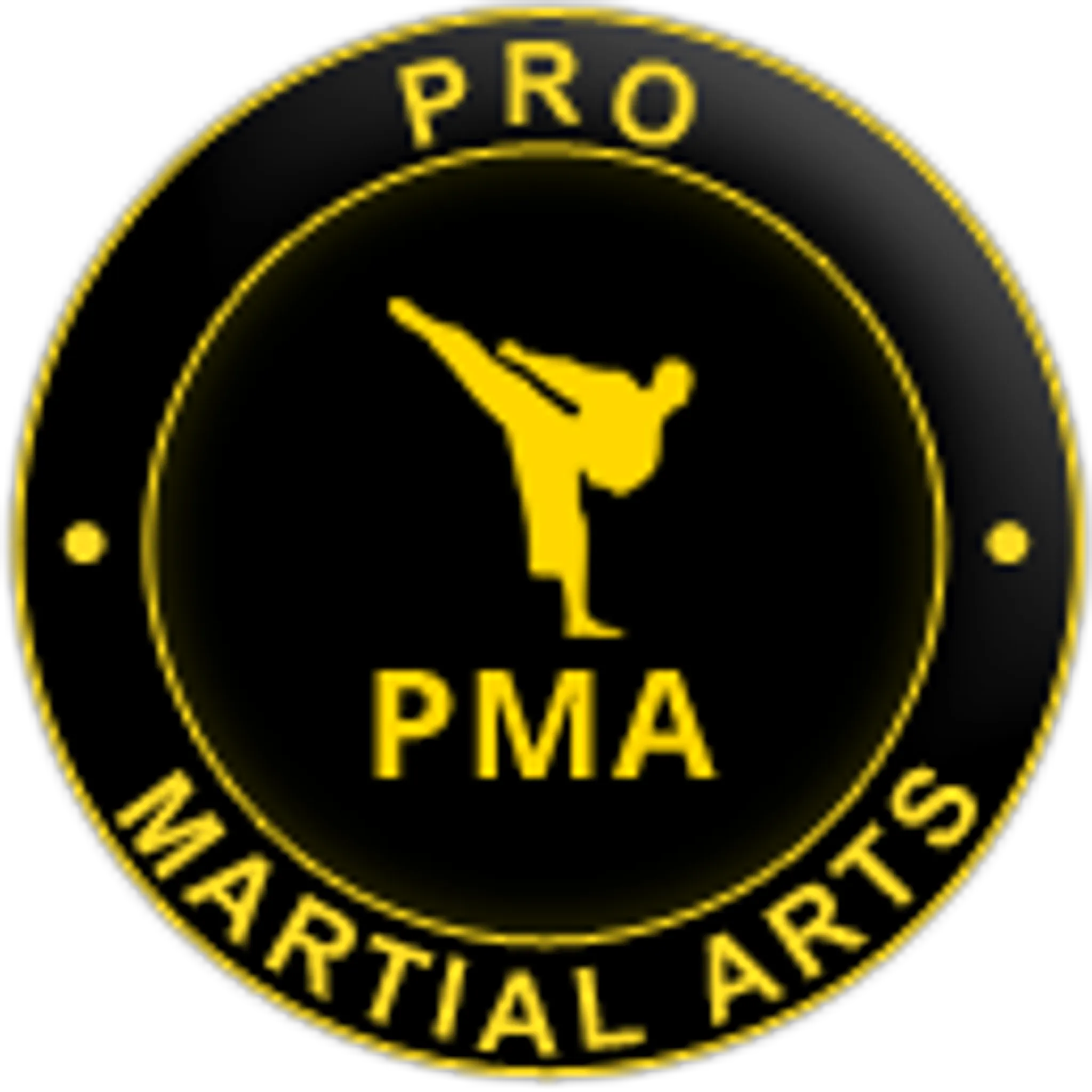 Pro Martial Arts