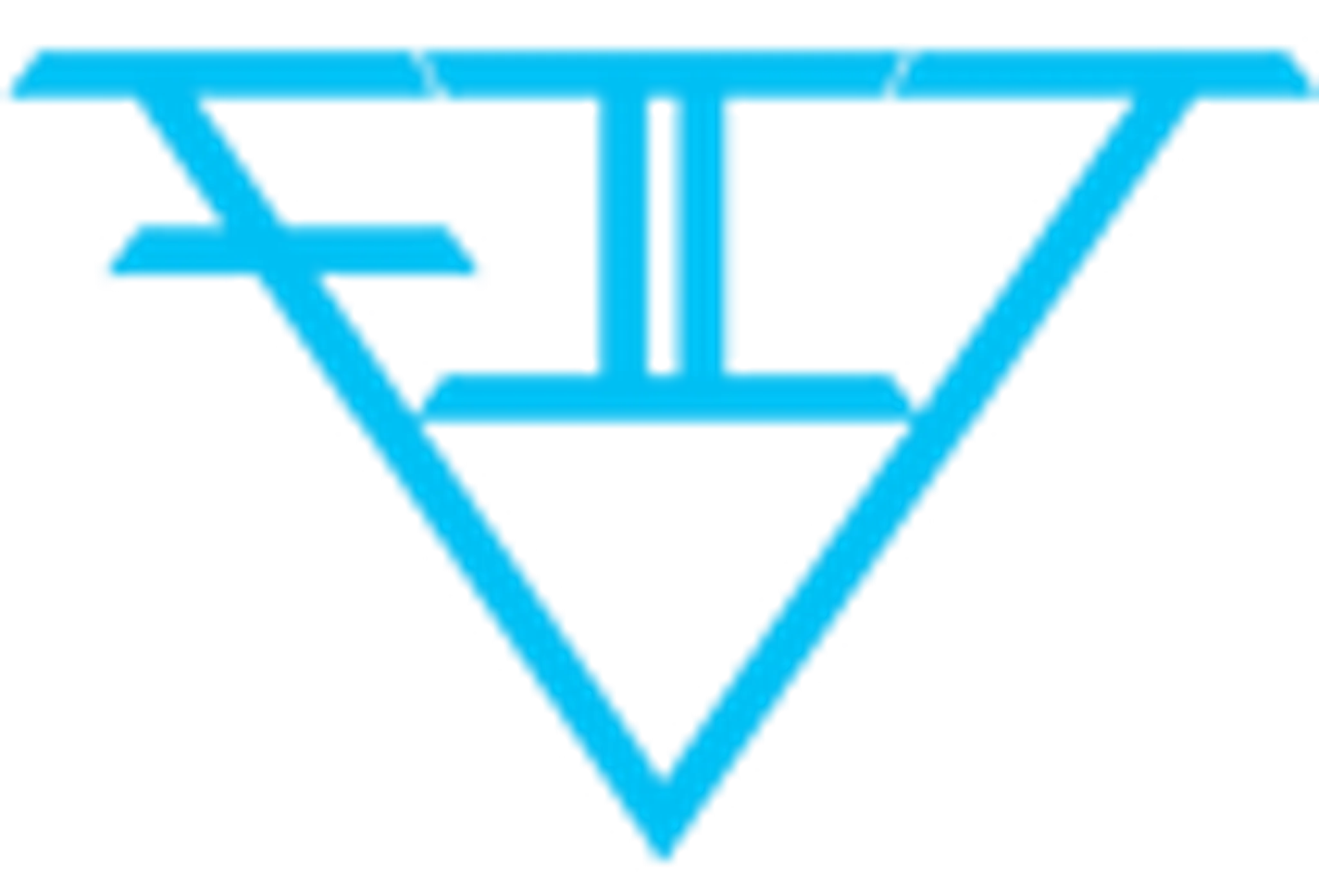 Future Image Training