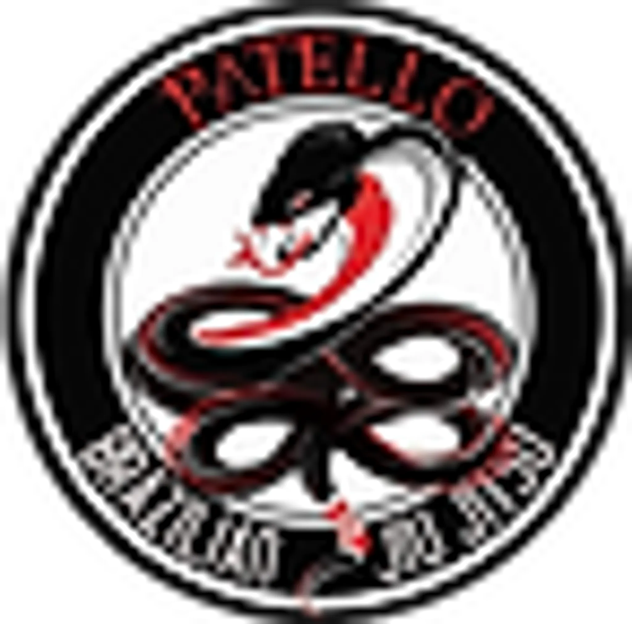 PATELLO BRAZILIAN JIU JITSU