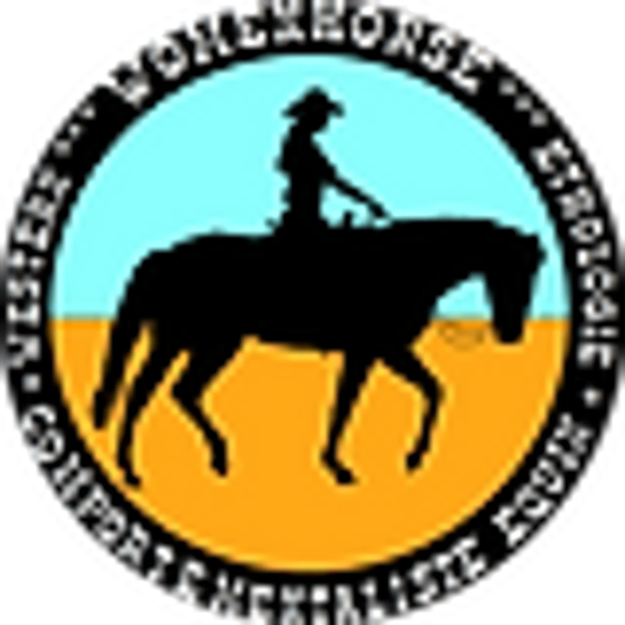Women Horse, Balade A Cheval Et Poney En Corse, Debourrage, Cours, Stages, Passage De Galop