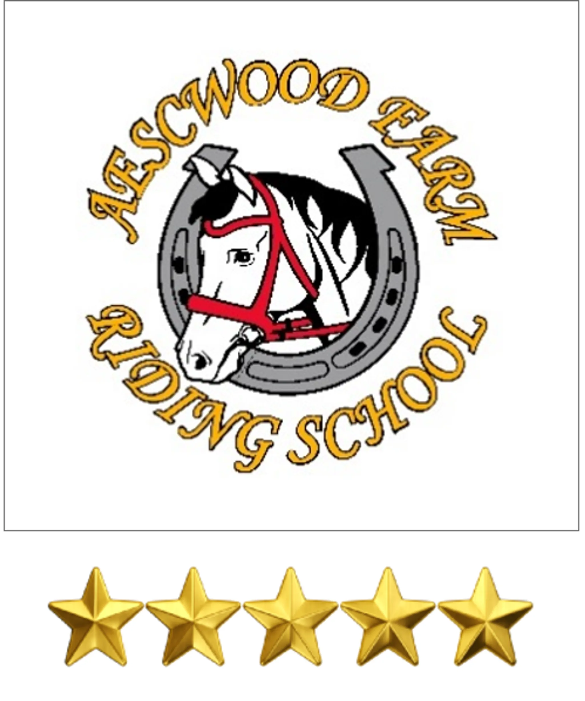 Aescwood Farm Children's Riding School Ltd