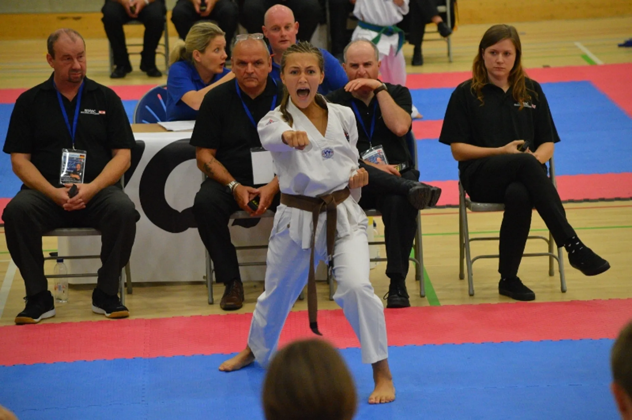 Saracen Martial Arts Hingham
