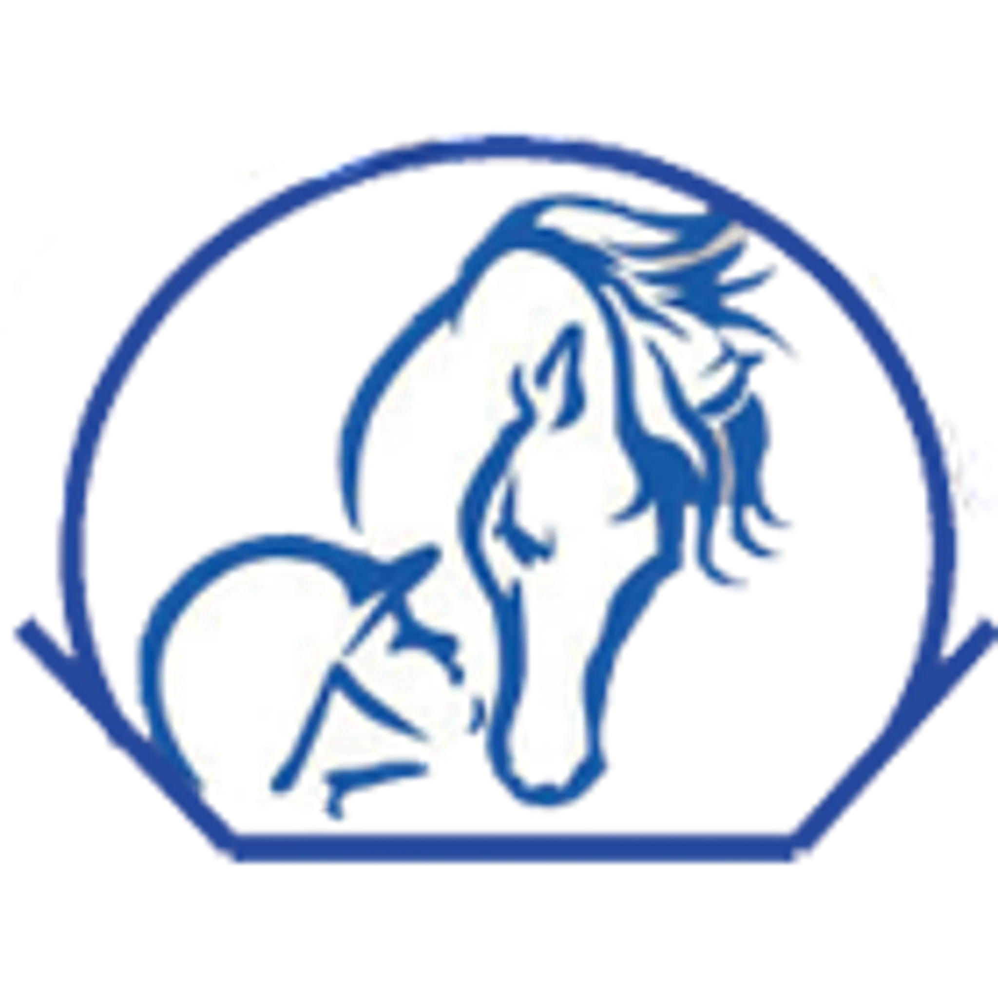 Centre Equestre Arche Equiloisirs