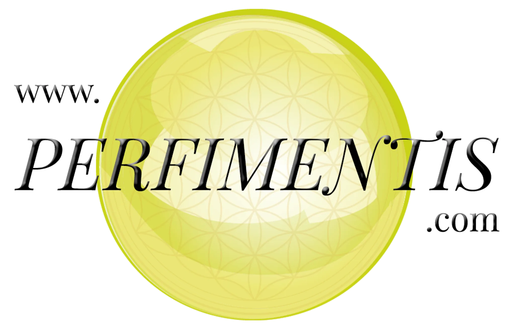 Erwan Merendet - Perfimentis