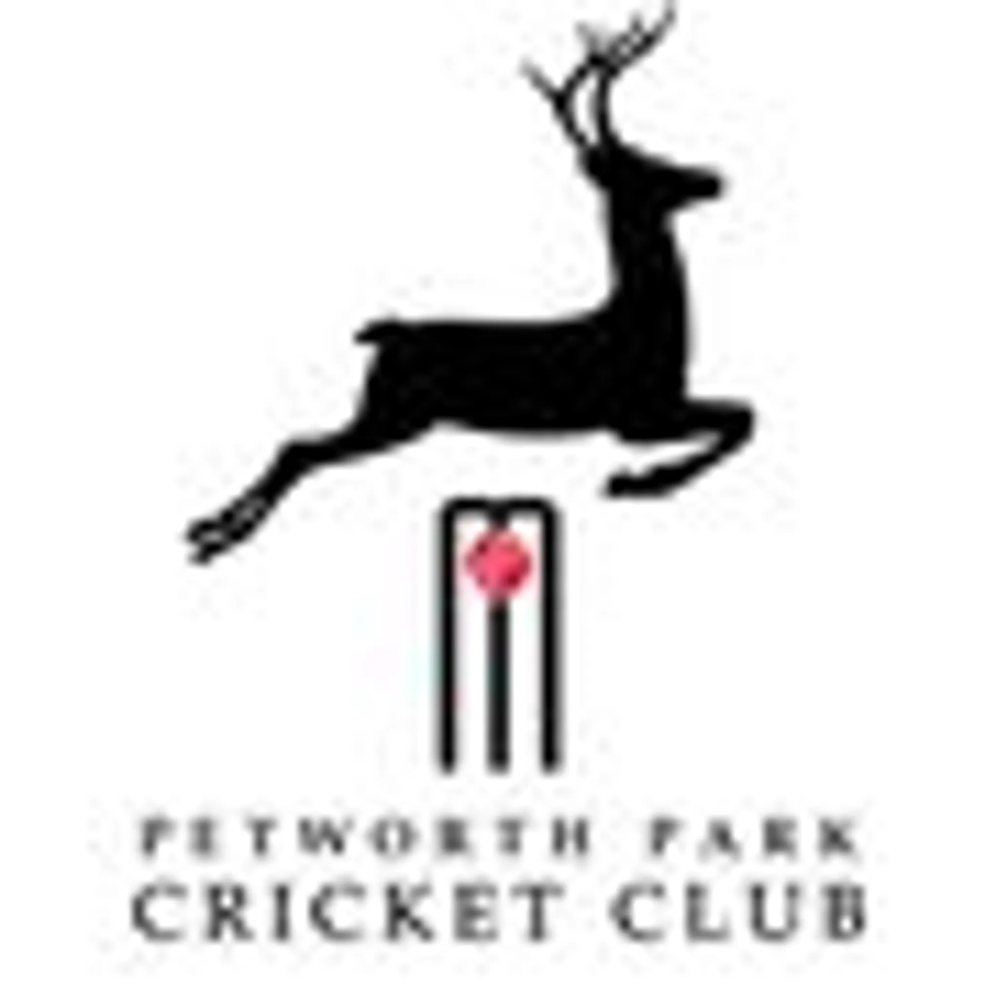 Petworth Park Cricket Club