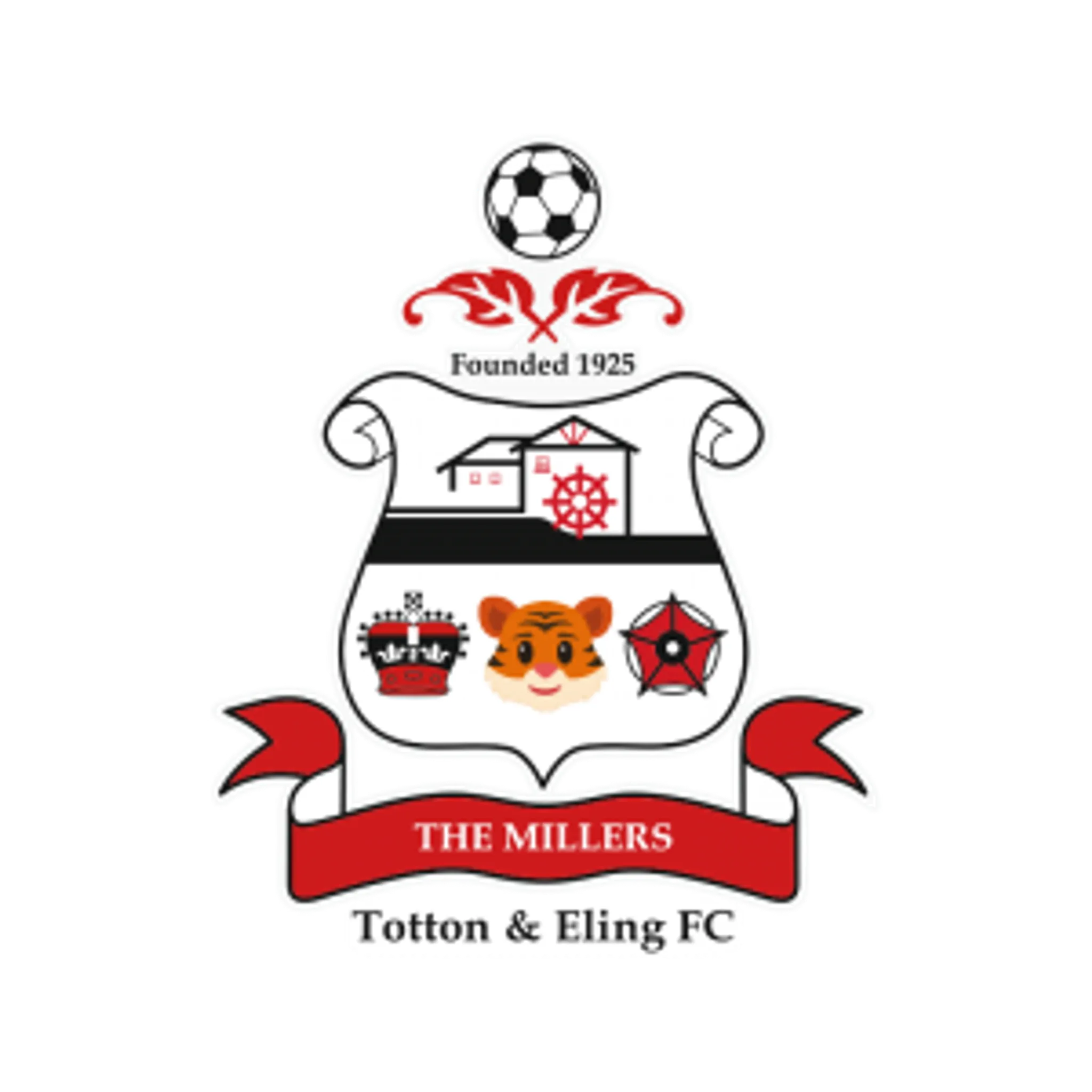 Mini Tigers Football Coaching