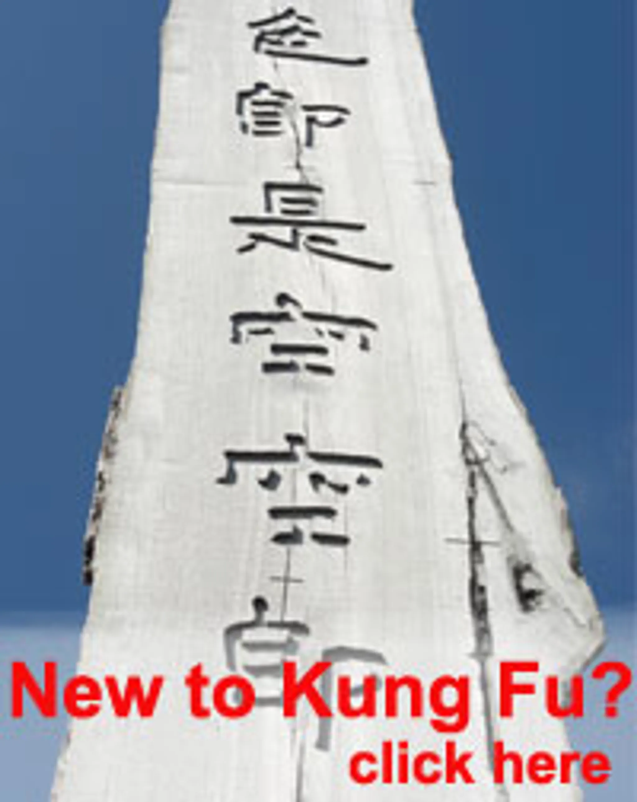 BATH KUNG FU ACADEMY