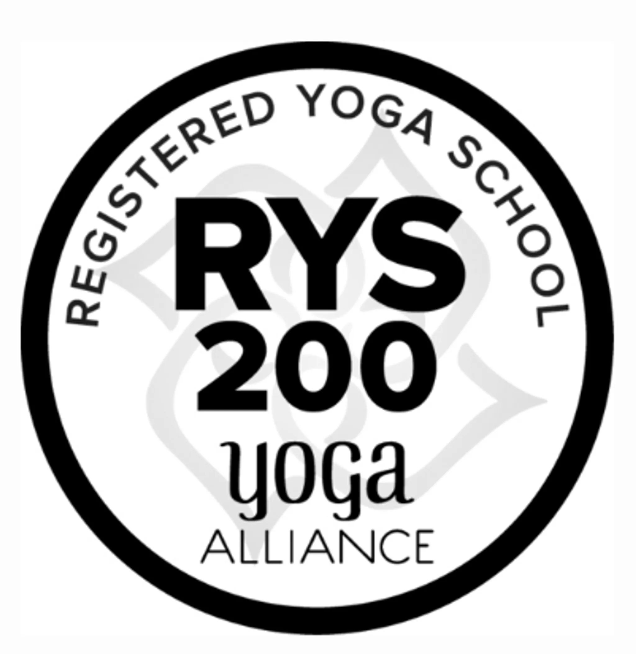 Mvmt+ Yoga Collective