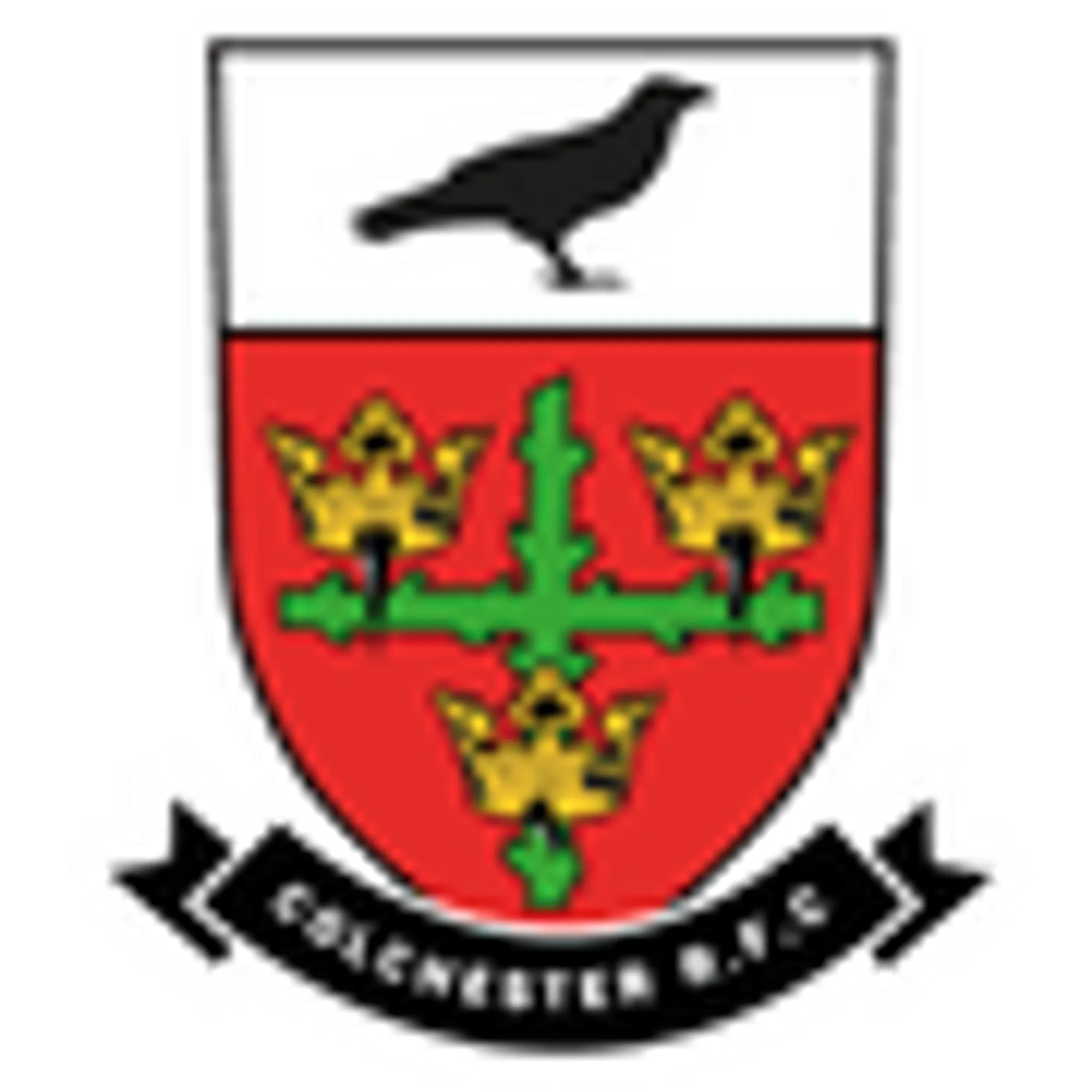 Colchester Rugby Club