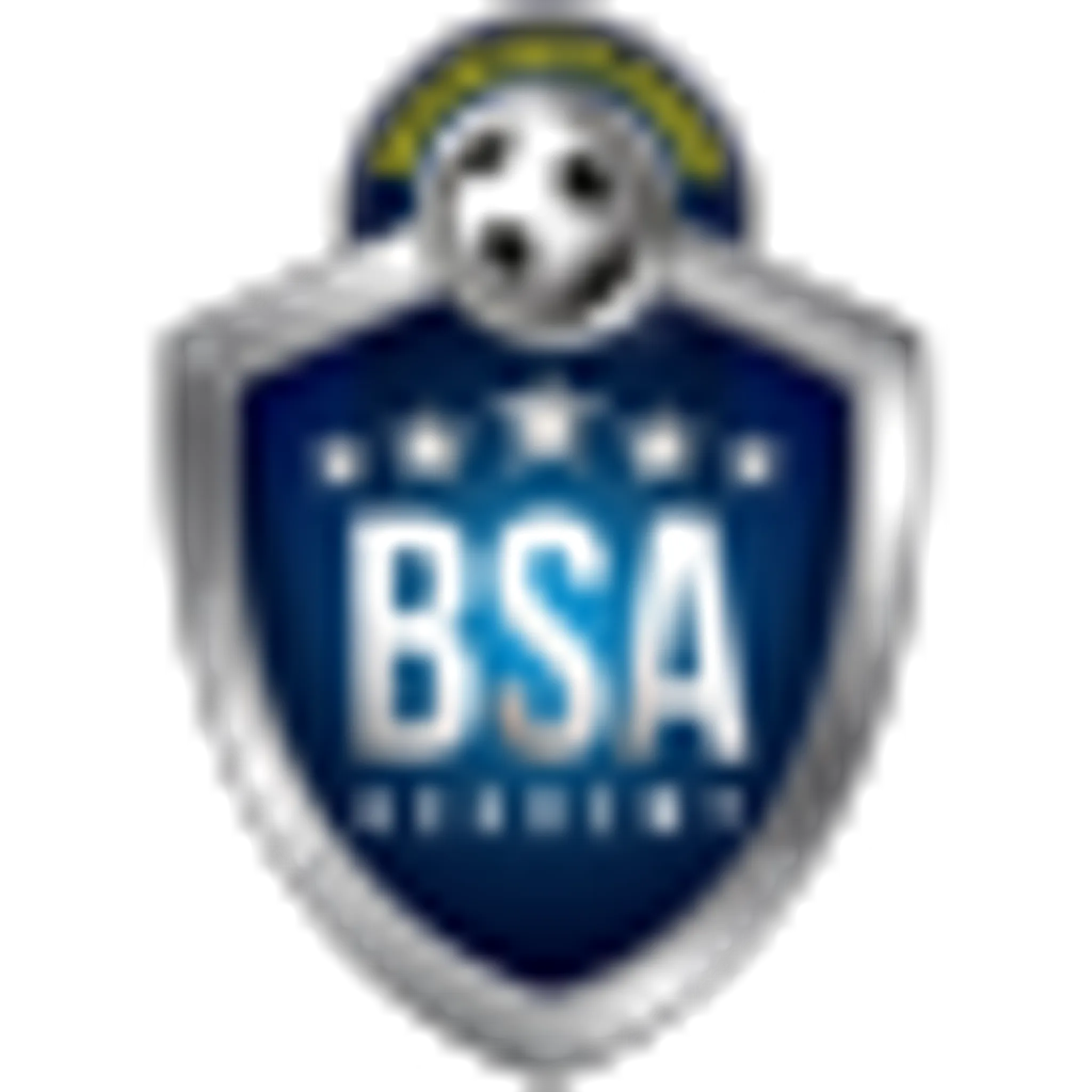 Brazilian Soccer Academy - Toronto