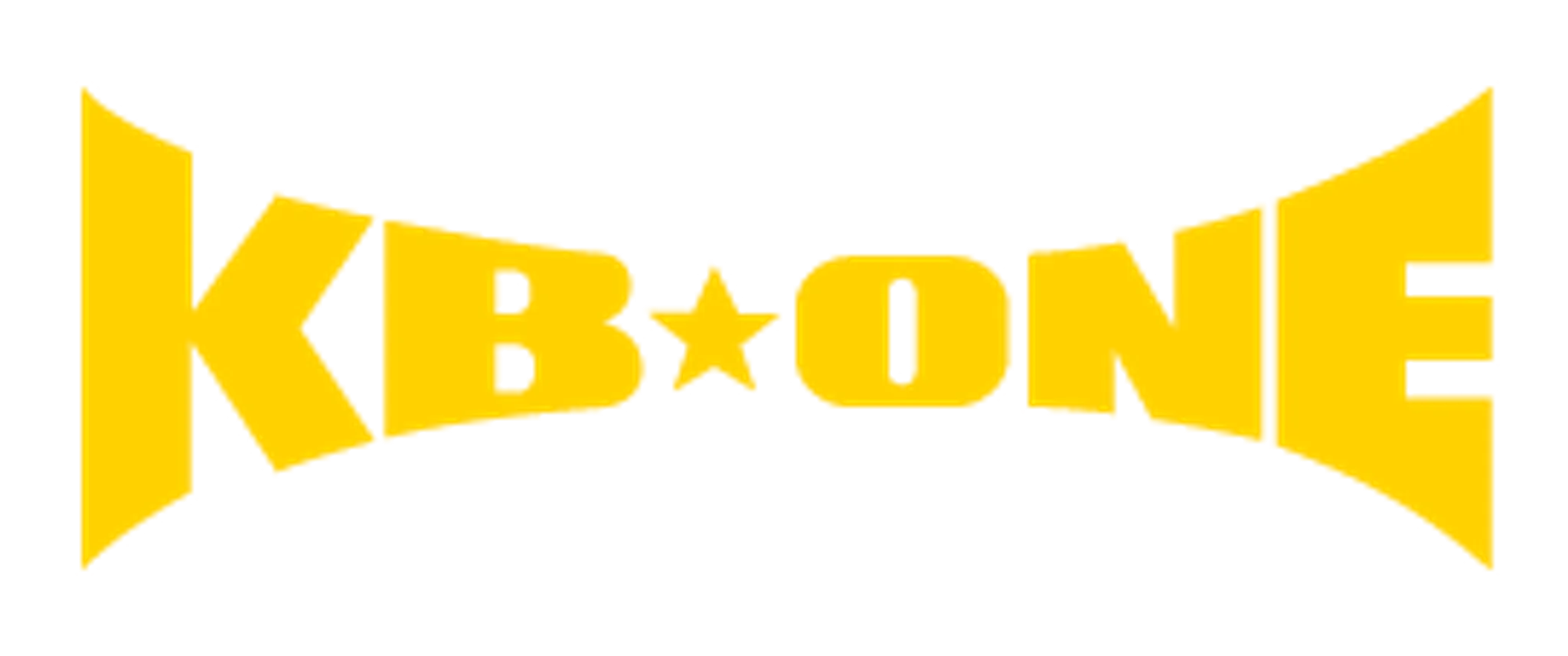 KB-ONE Martial Arts Academy