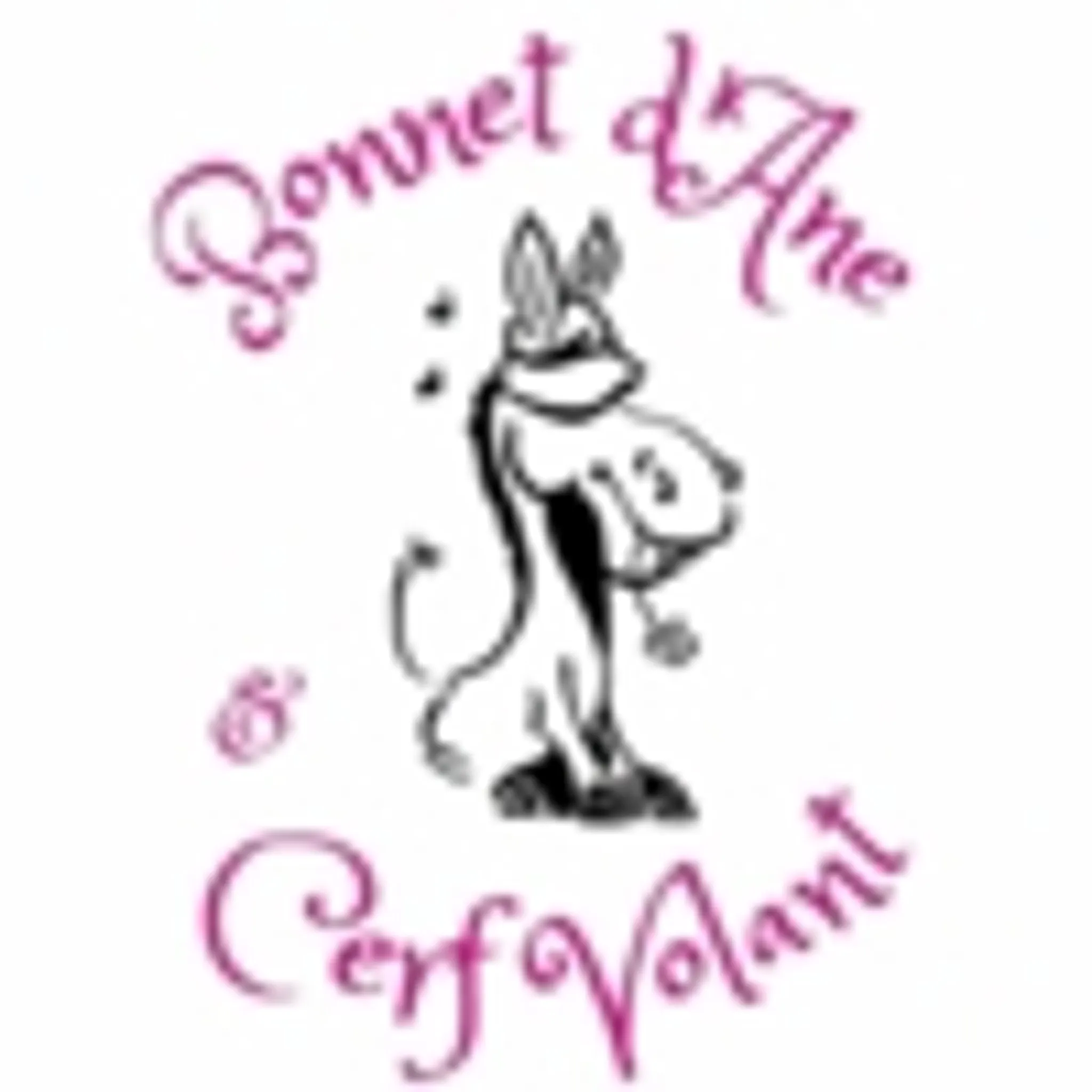 Bonnet d'Âne et Cerf Volant